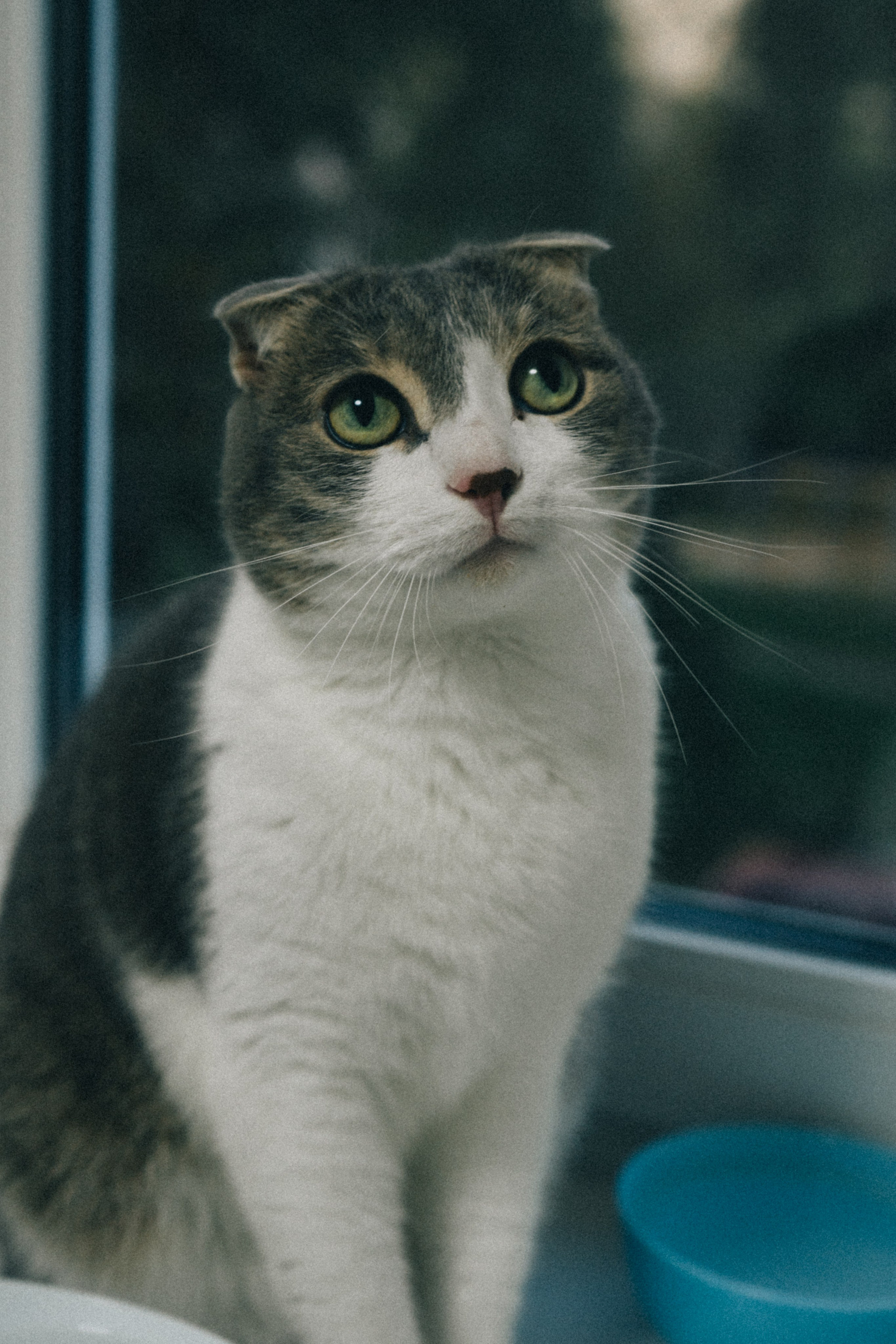 Вика&Даня. Фотограф и видеограф в Тюмени Екатерина Чернецкая