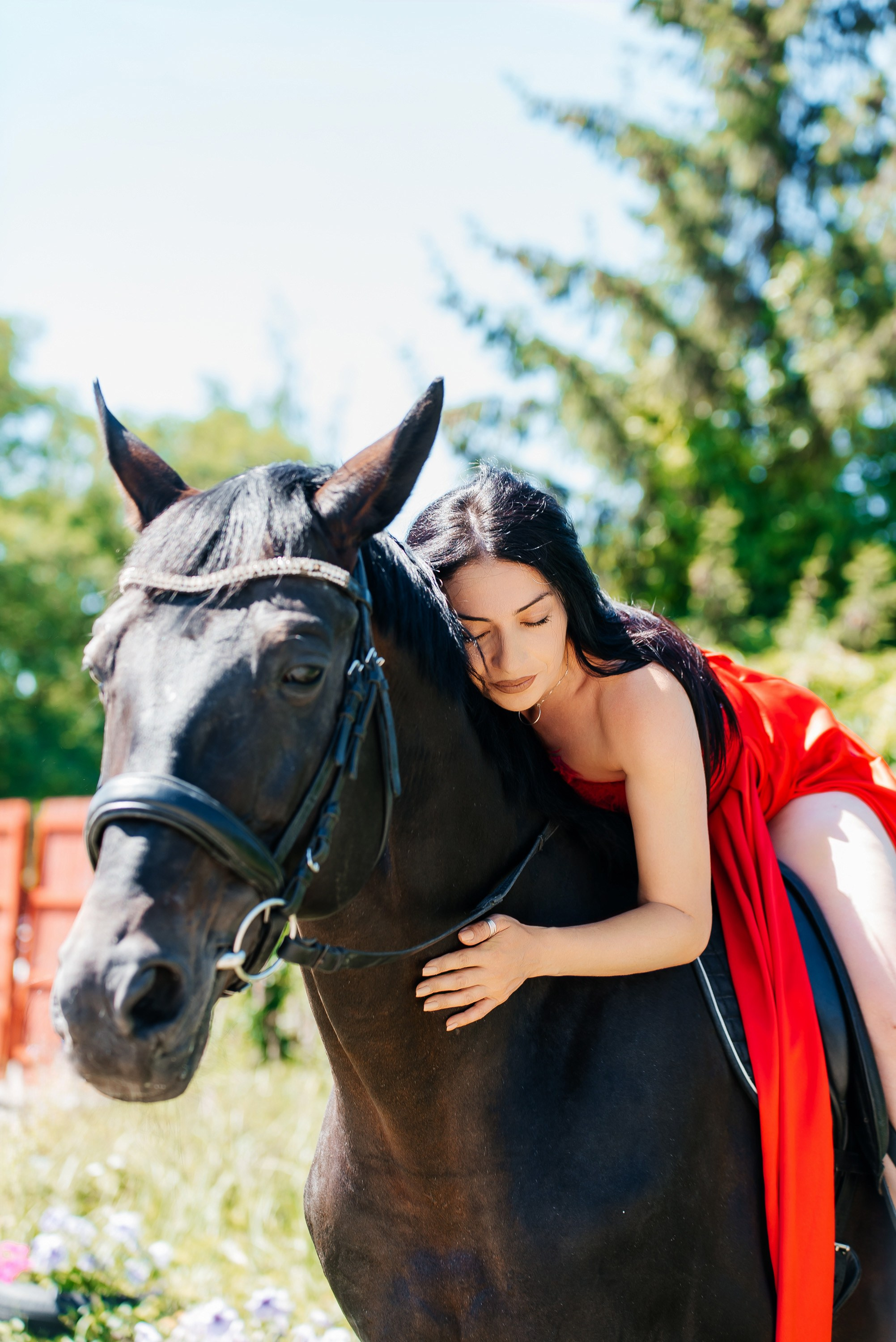 Фотосессии с лошадьми. Фотограф Рязань