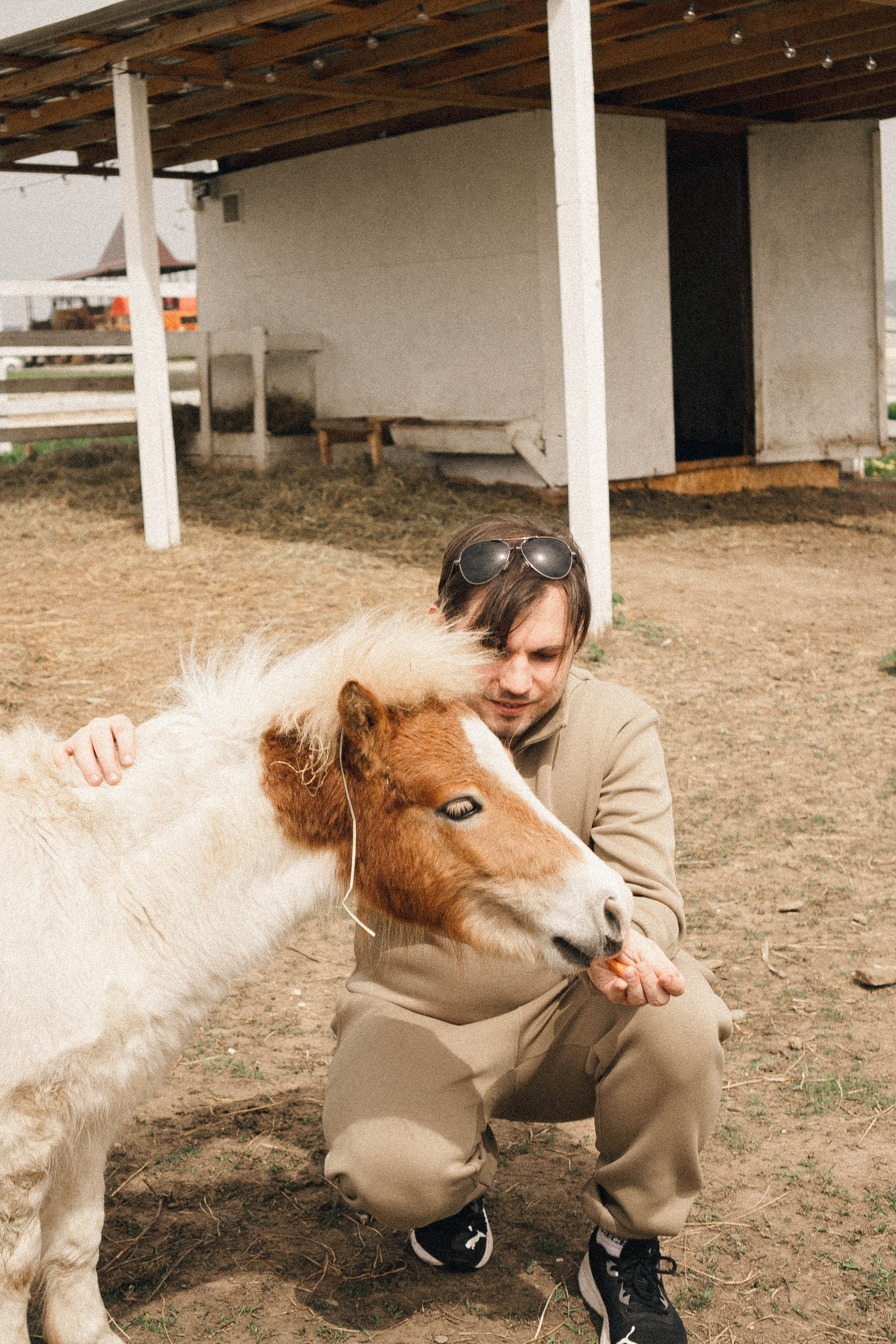 Ферма Альпак. Профессиональный фотограф, Санкт-Петербург — Виктория Богомолова