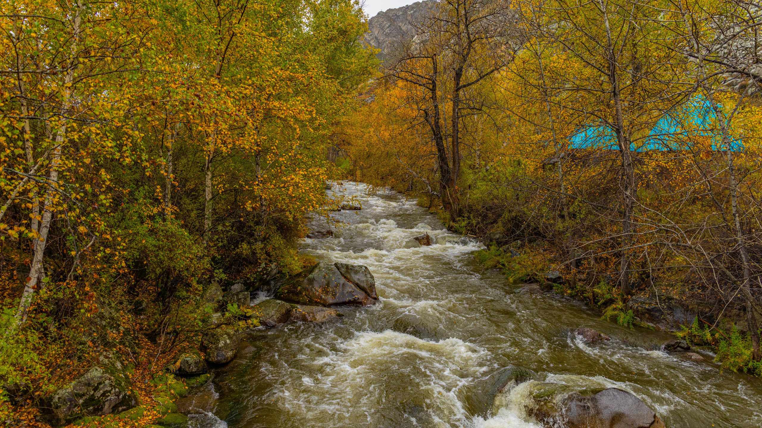 2025 09 Алтай. Чуйский тракт. Фотографии