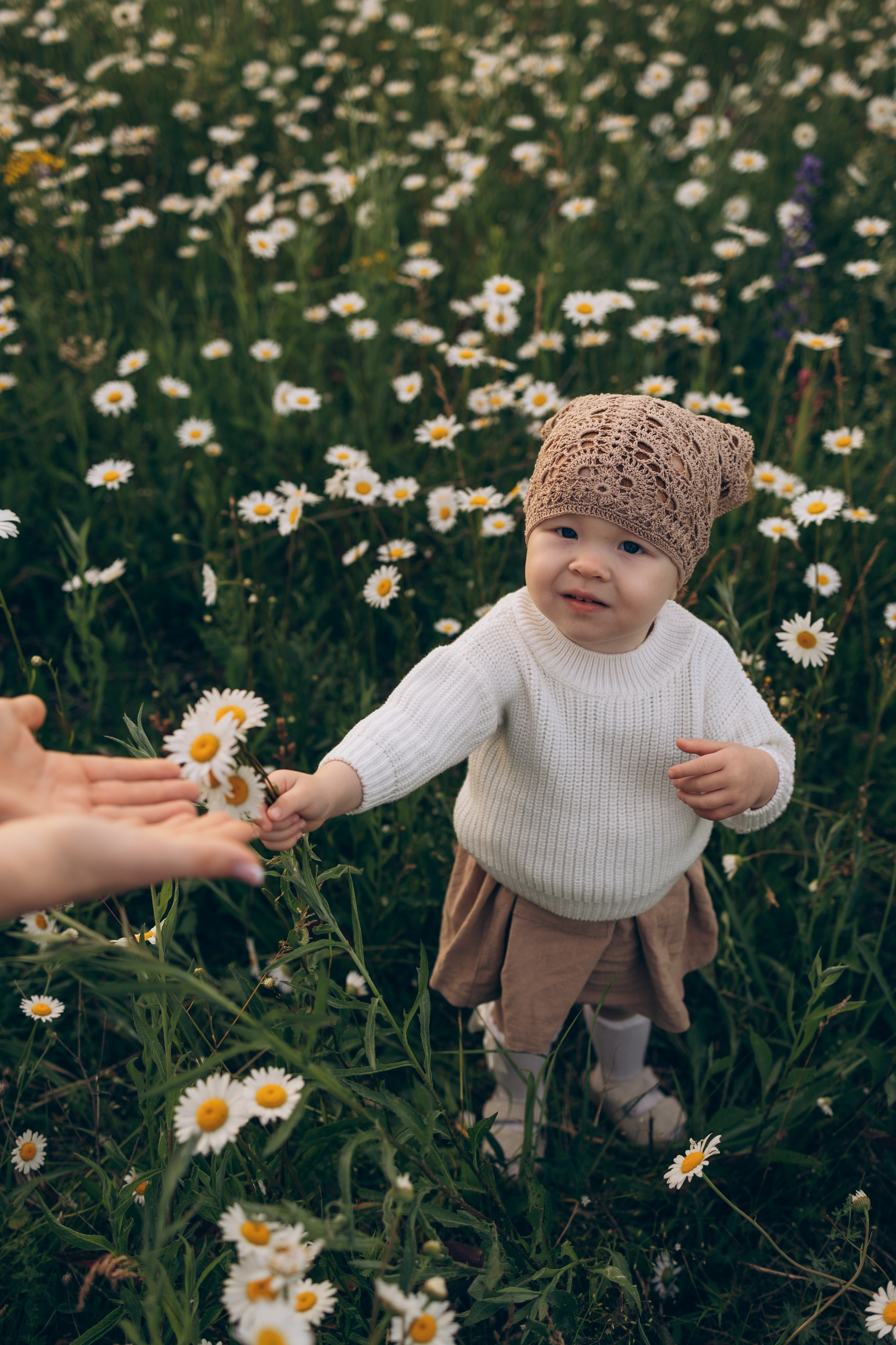 Мира и ромашки