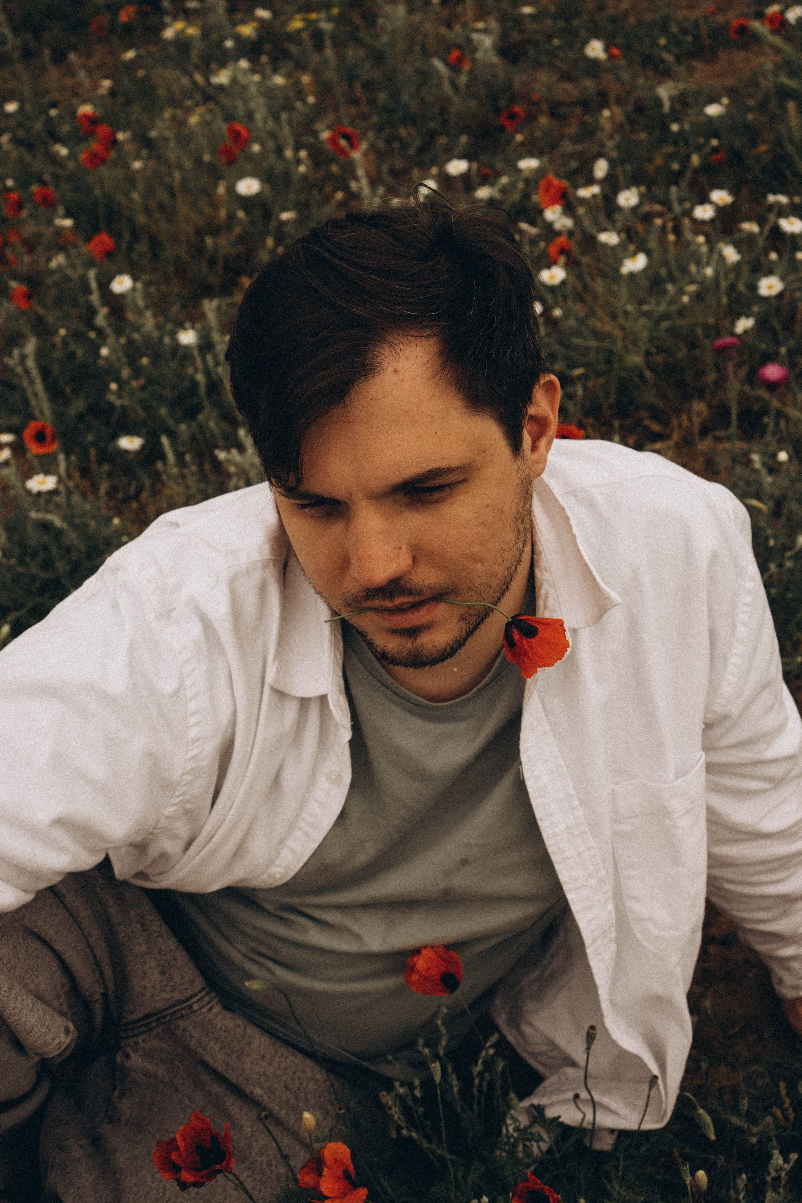 Маки. Профессиональный фотограф, Санкт-Петербург — Виктория Богомолова