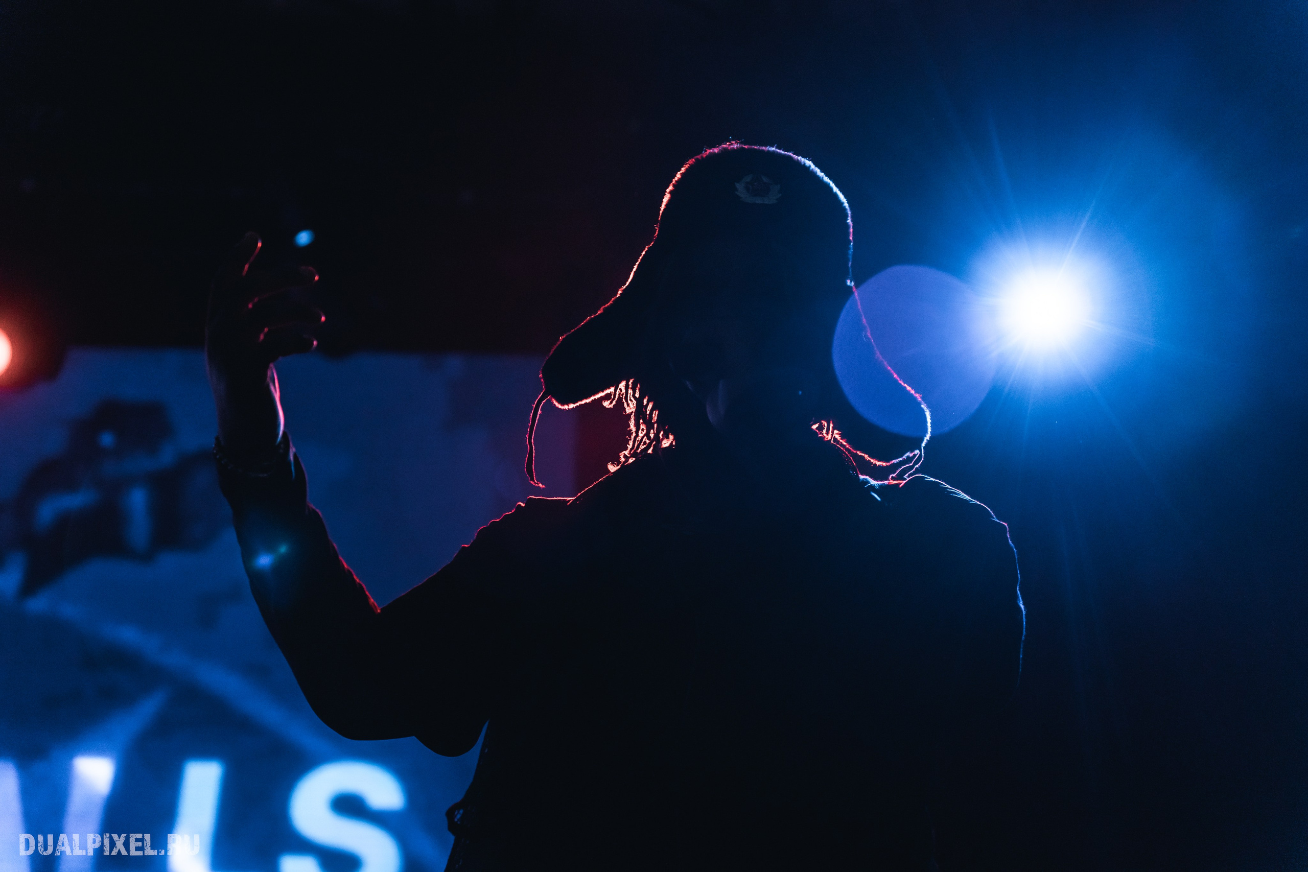 Prince Of Falls. Магия музыки в кадре: Концертная Фотография