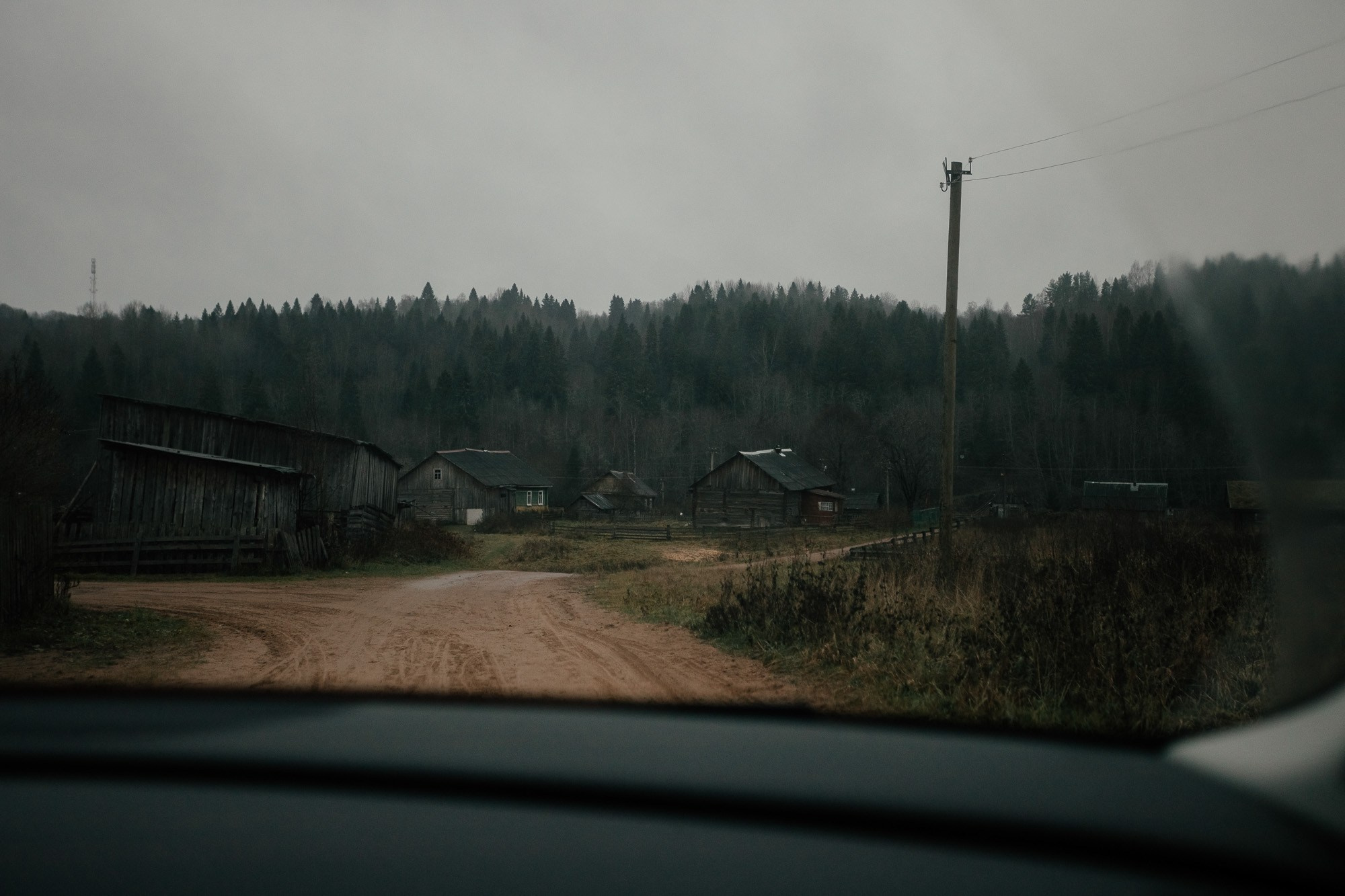 Поездка в вепсские деревни к «Лес и Ветер» 10-12.11.23. Портретный и свадебный фотограф в Санкт-Петербурге Ольга Филиппова