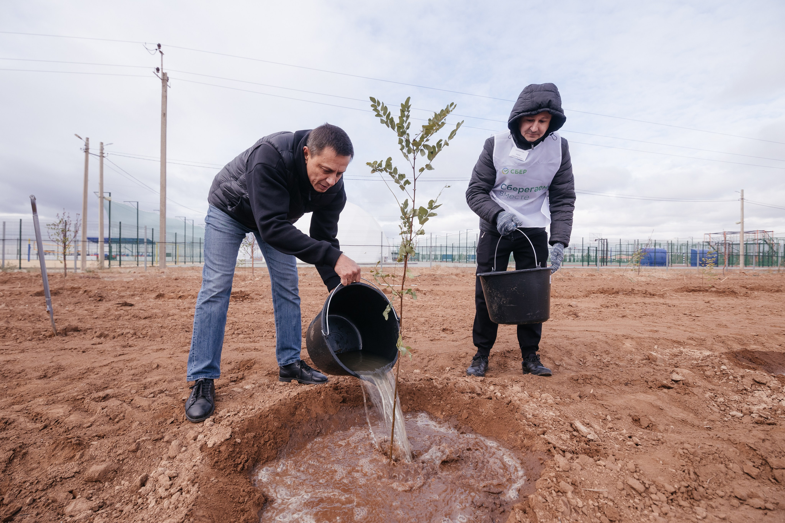 Сохраним лес. Фотограф Крохин Олег