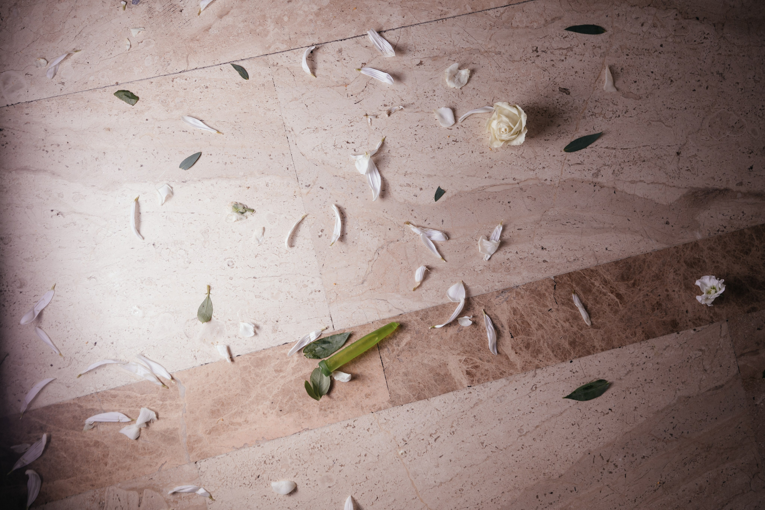 Евгений и Дарья. Фотограф Крохин Олег