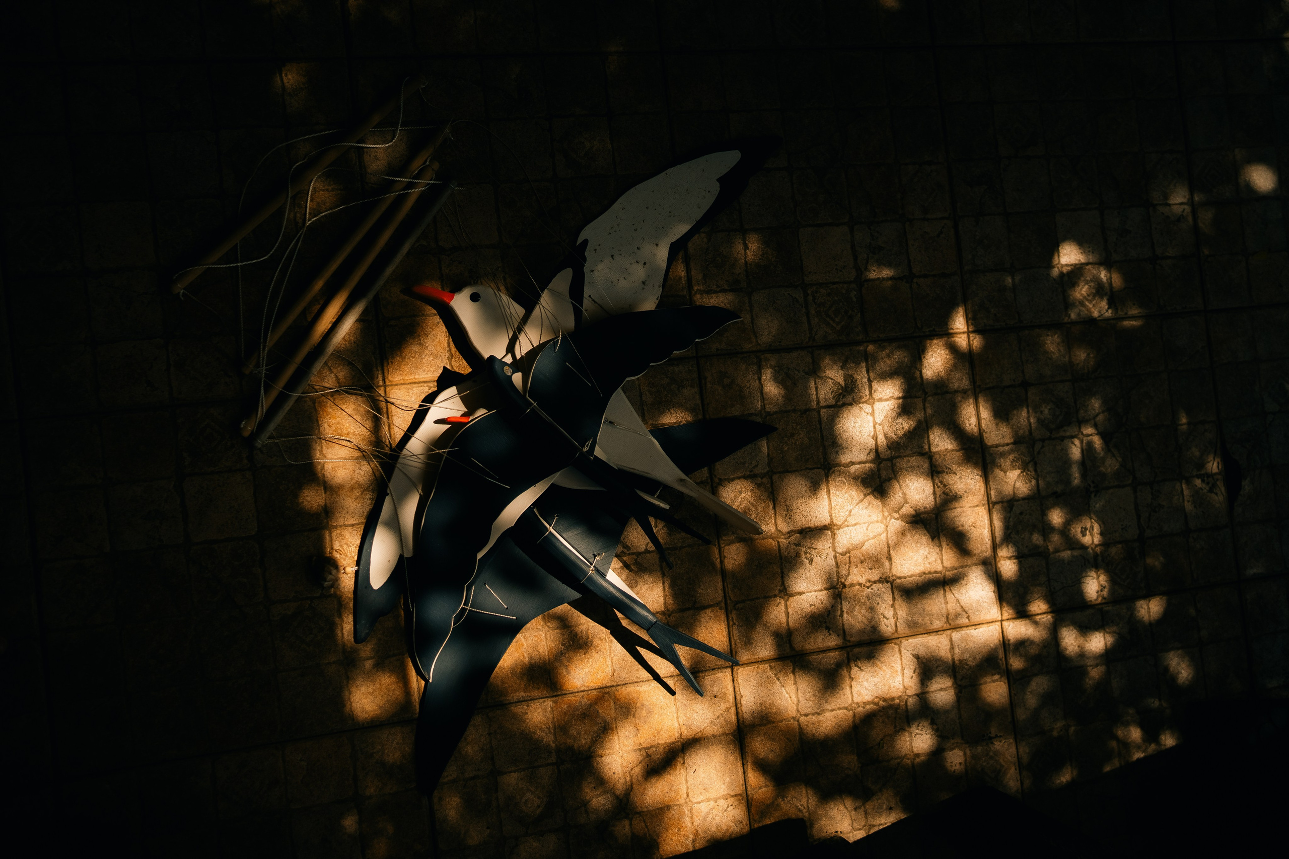 Саида. Фотограф в Москве и МО Влада Обласова