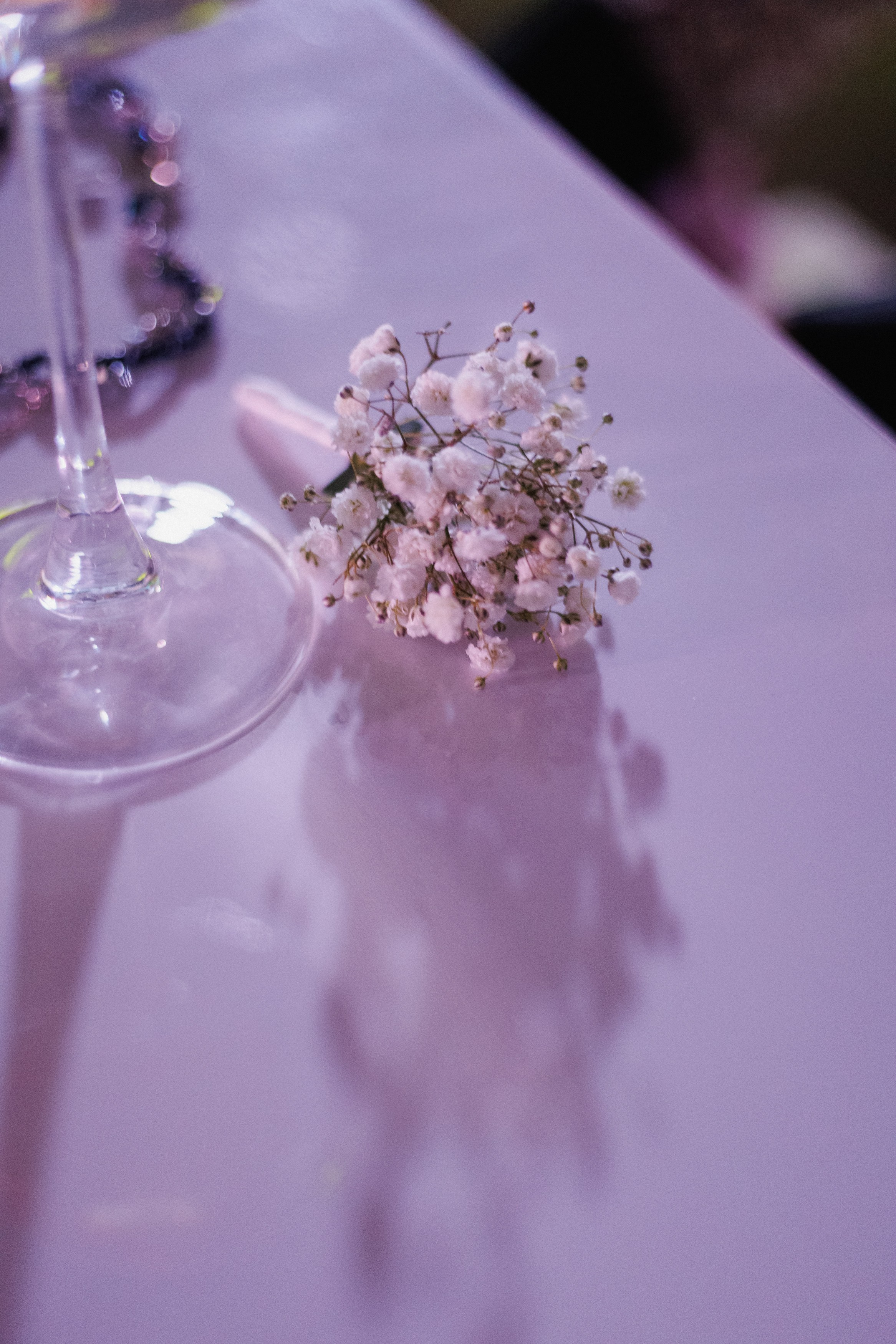 DGD WILD PINK. СВОИ. ФОТООТЧЕТЫ-СОБЫТИЯ-МЕСТА