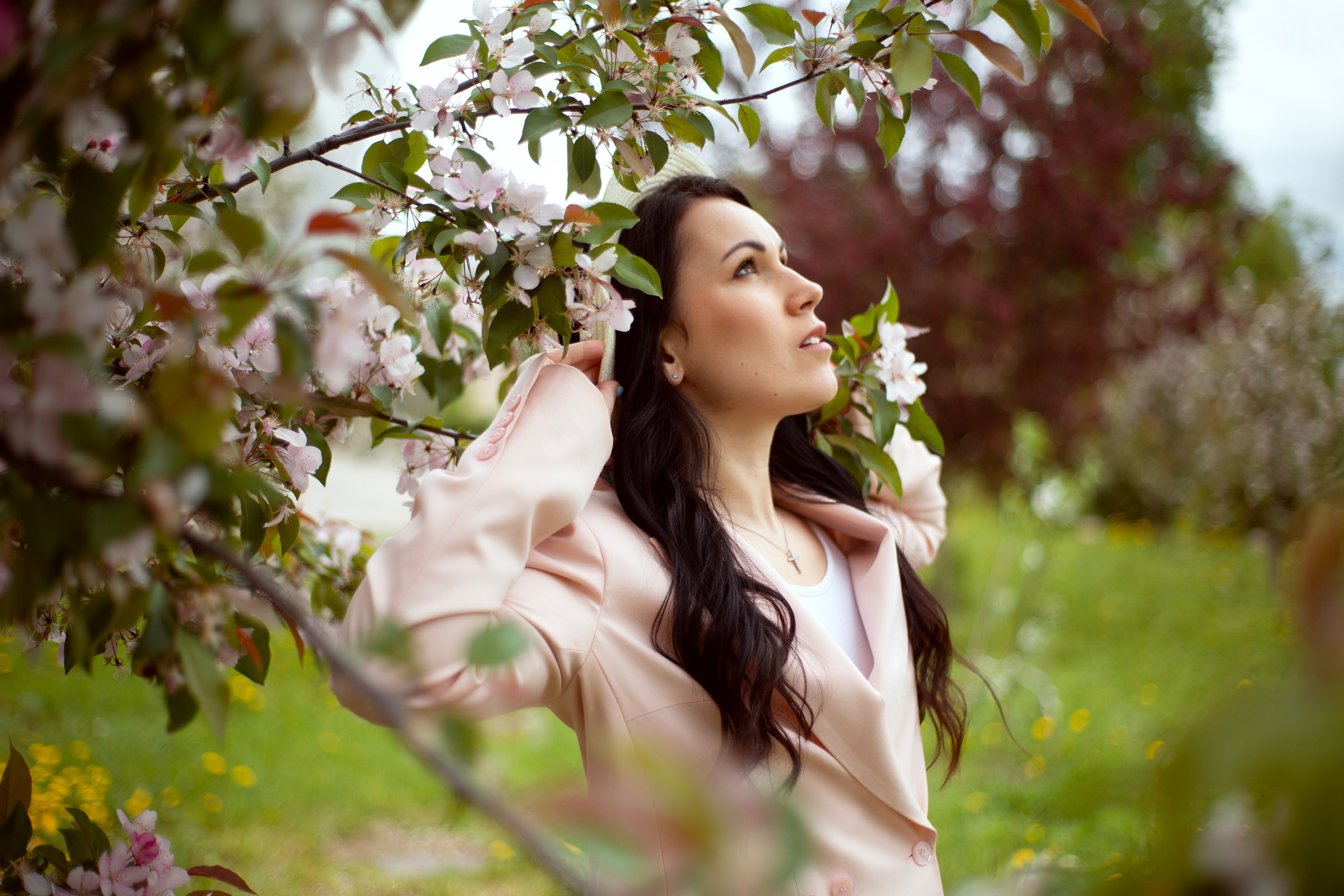 Цветение. Главная