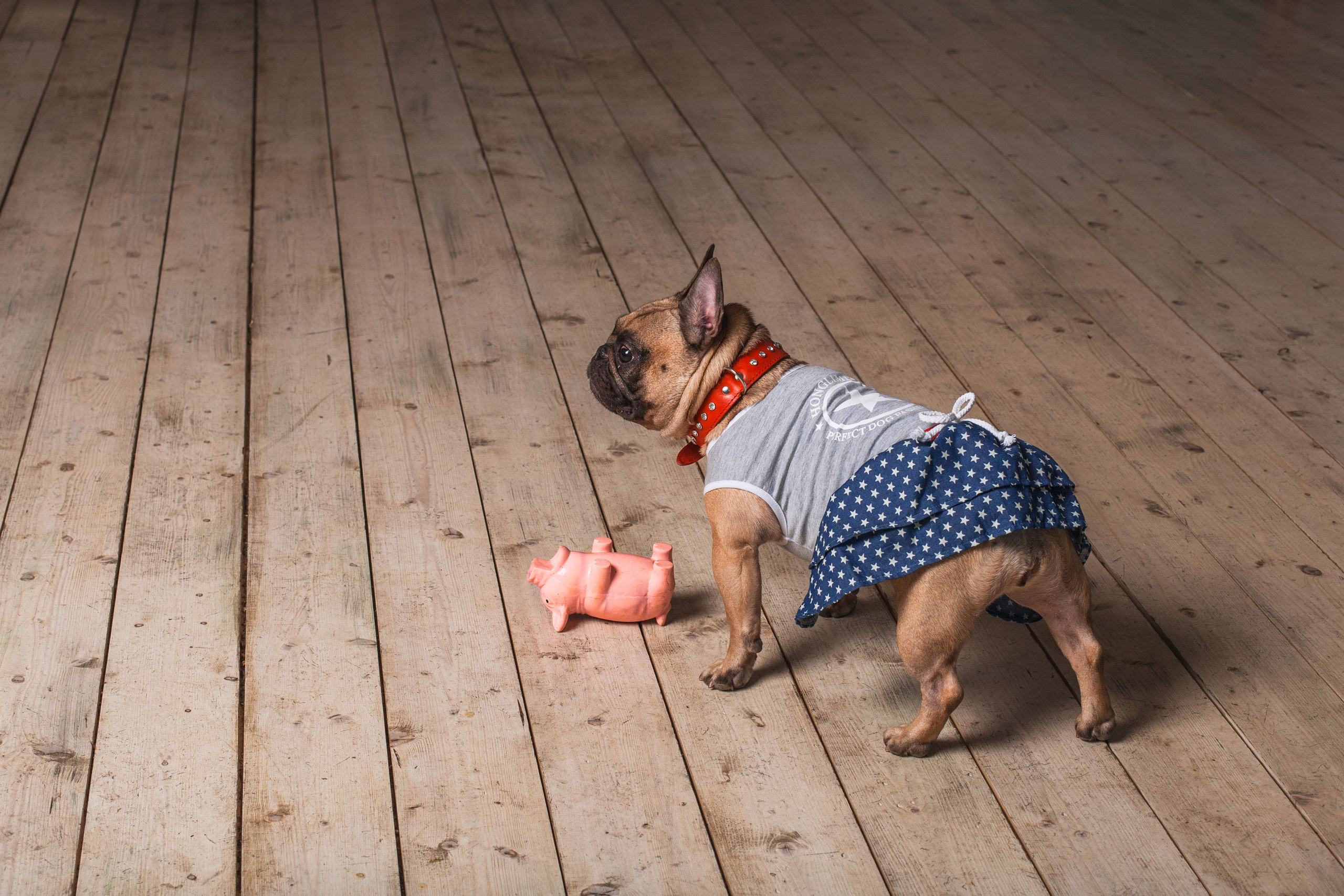 Наталья и Фрося. Фотограф-анималист Татьяна Степанова