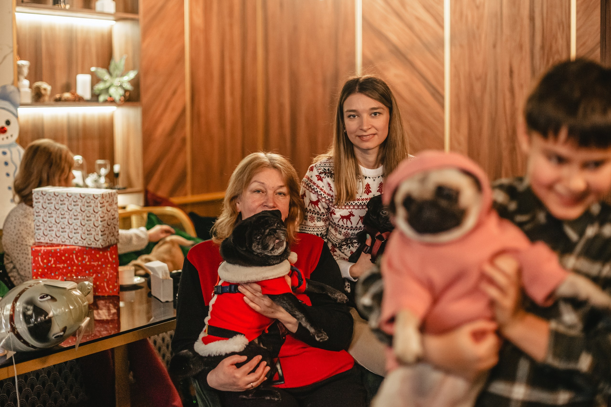 Мопсовстреча 02.12.2023. Фотограф-анималист Татьяна Степанова