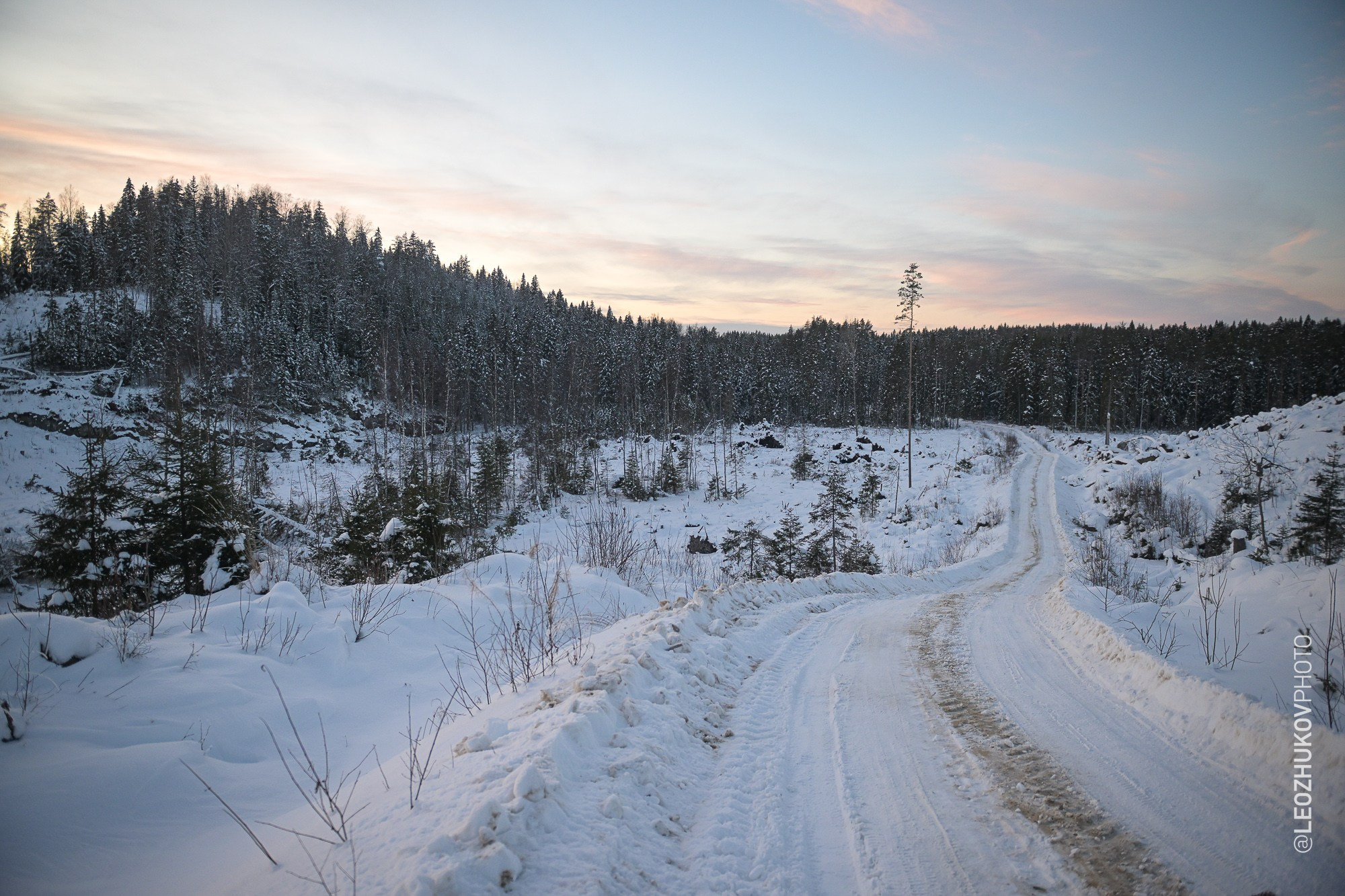 Rally Karelia 2026. Sports photographer Leonid Zhukov