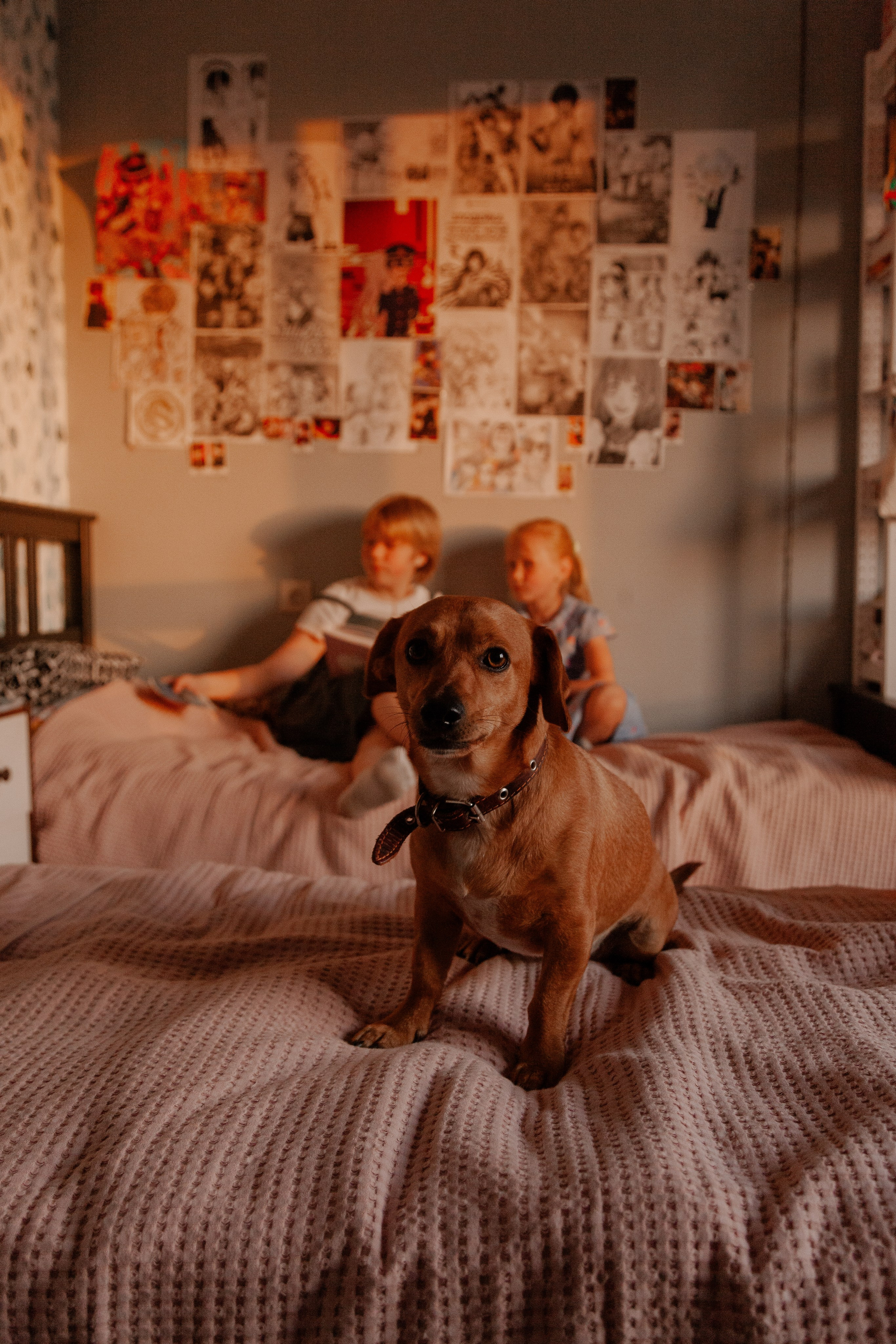 Дом. Орнштейн Полина I Фотограф Самара