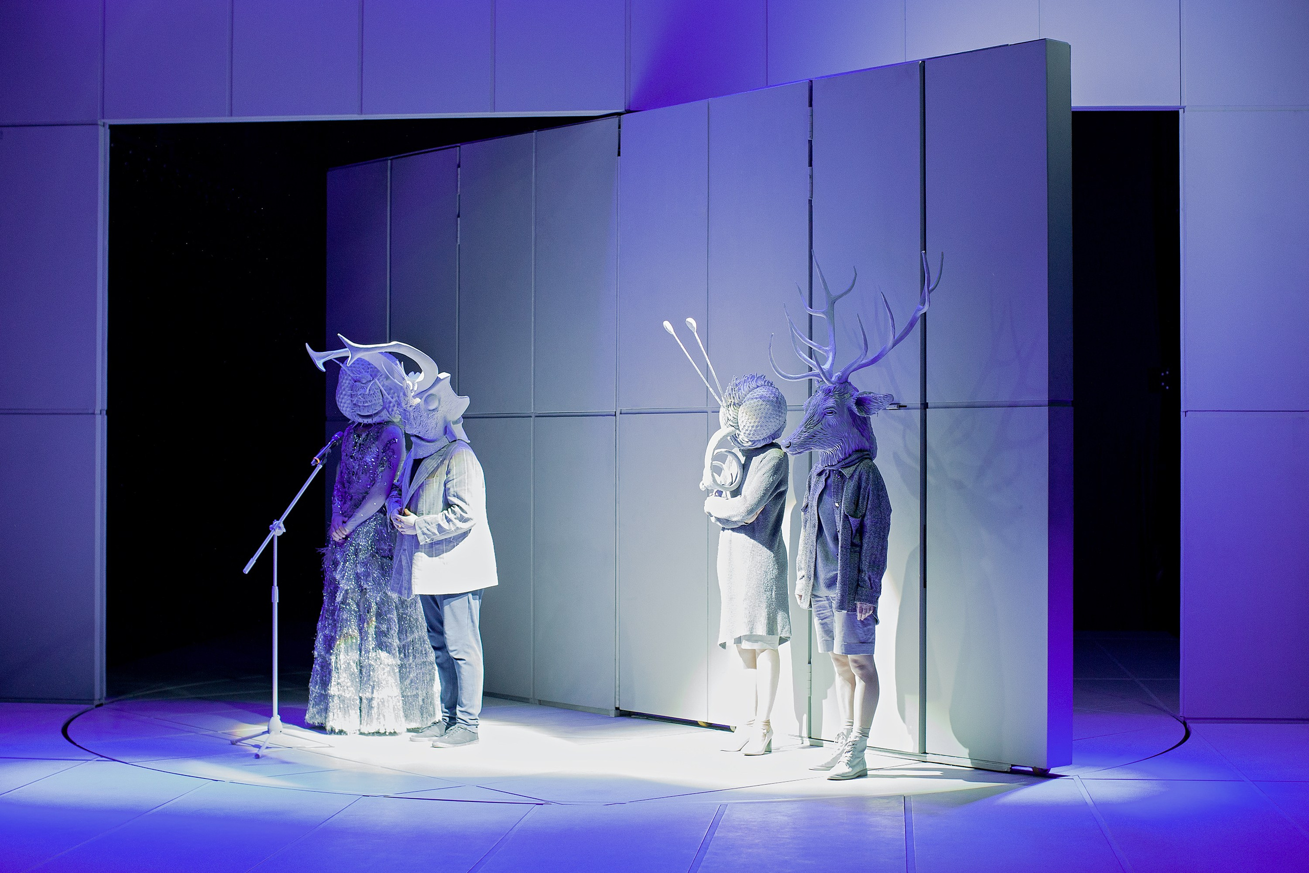 «СВЕРЧОК». Фотограф Александра Дмитриевская