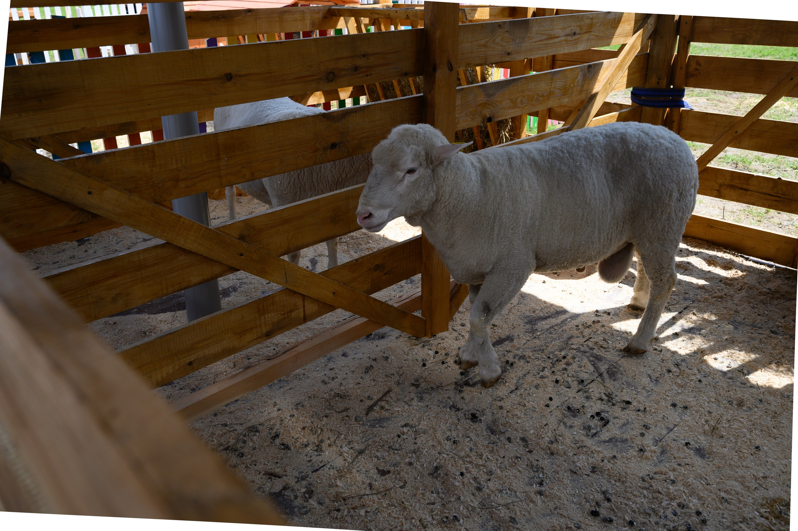 Агровыставка. Фотоуслуги, услуги фотографа, фотографирование важных событий