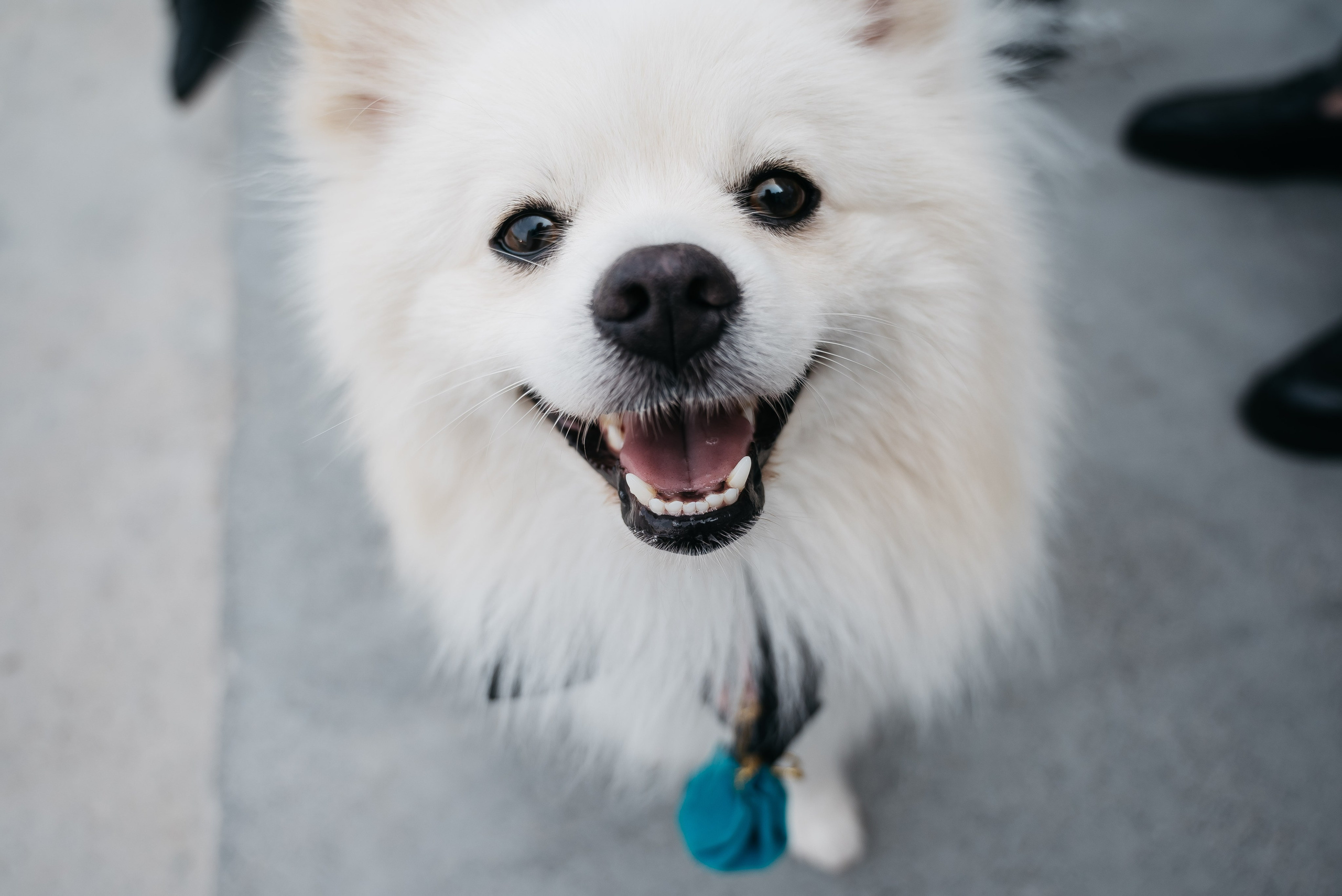 Антон и Ксюша. Тамара Власова