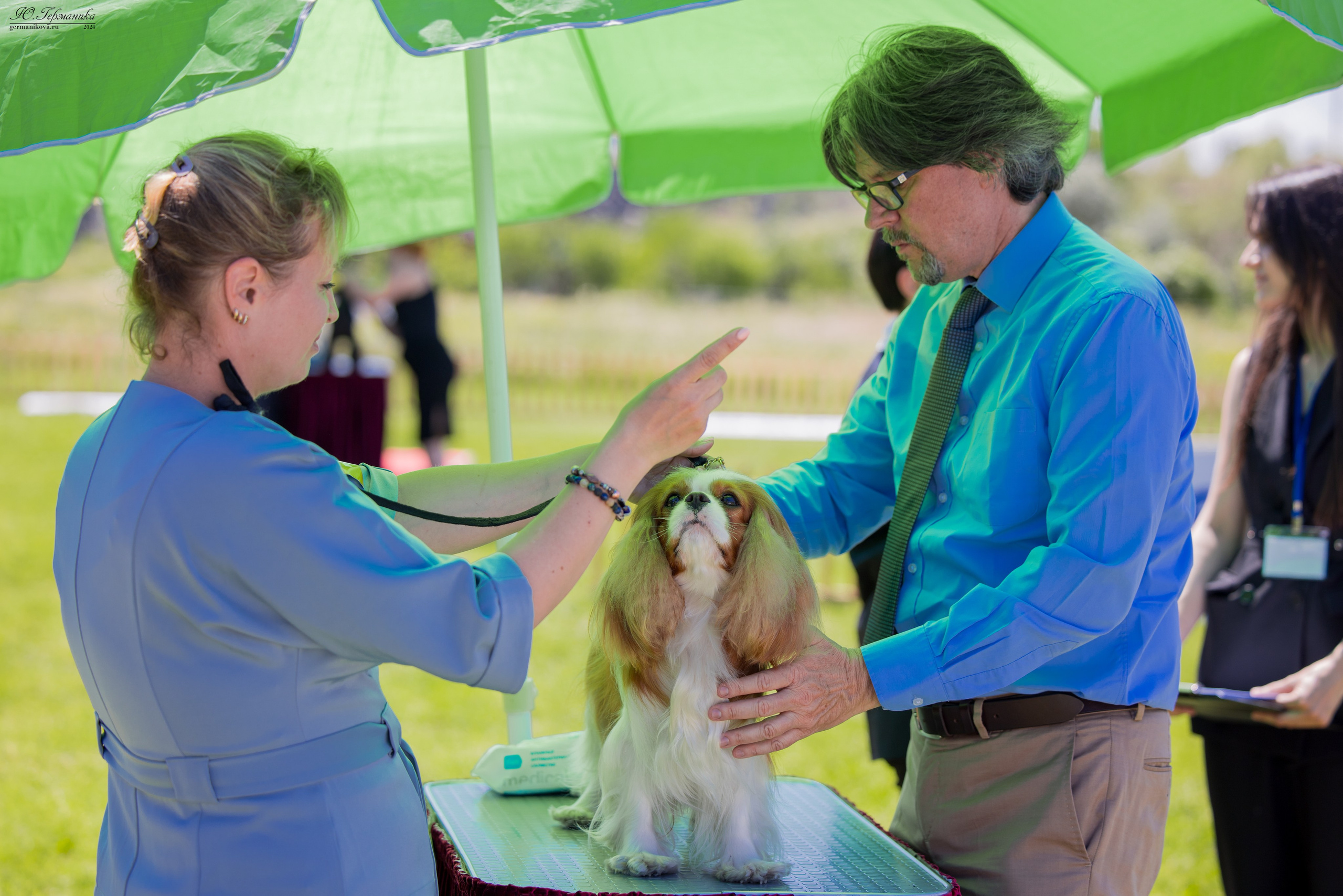 Ереван 3-5.06.2024. Фотограф-анималист Юлия Германика