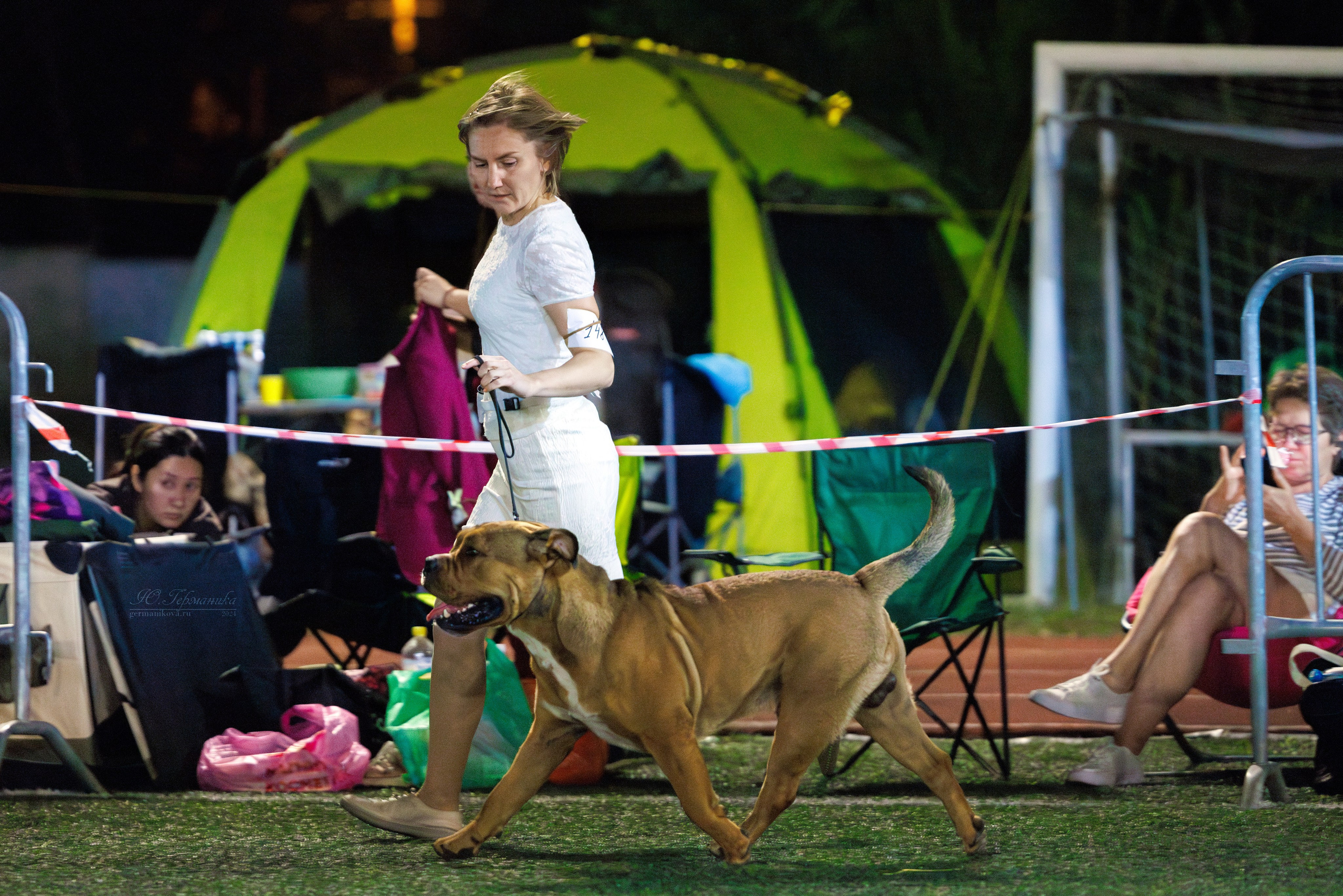 Волгоград 2-4.08.2024. Фотограф-анималист Юлия Германика