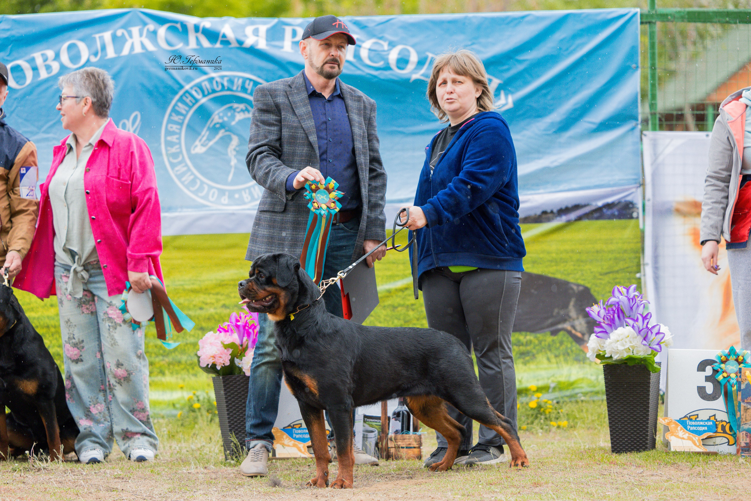 Саратов 2 х моно ротвейлеров 28-29.04.2024. Фотограф-анималист Юлия Германика