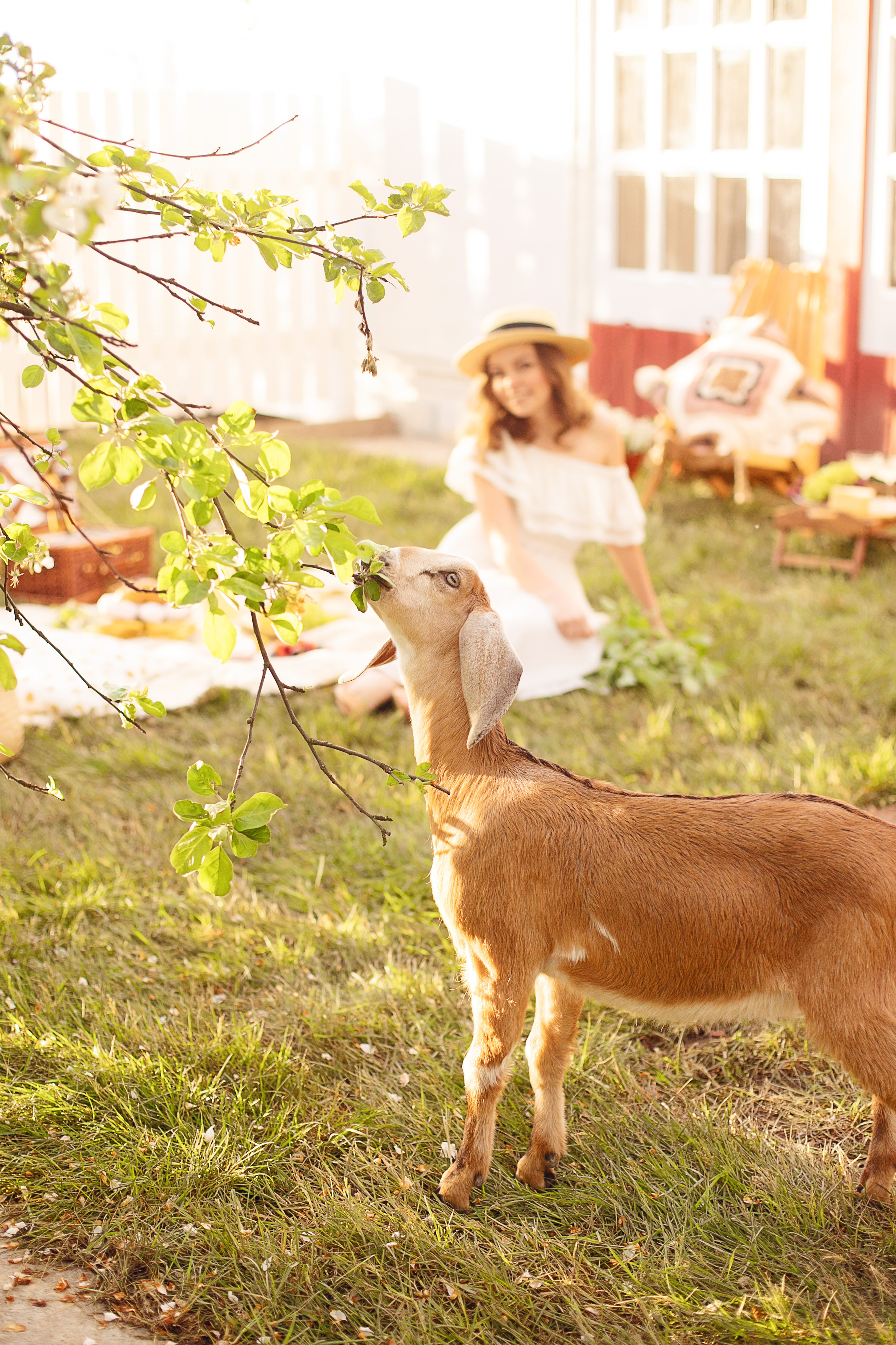 Загородная фотосессия для Дарьи. Женский и семейный фотограф в Санкт-Петербурге Любовь Малышева