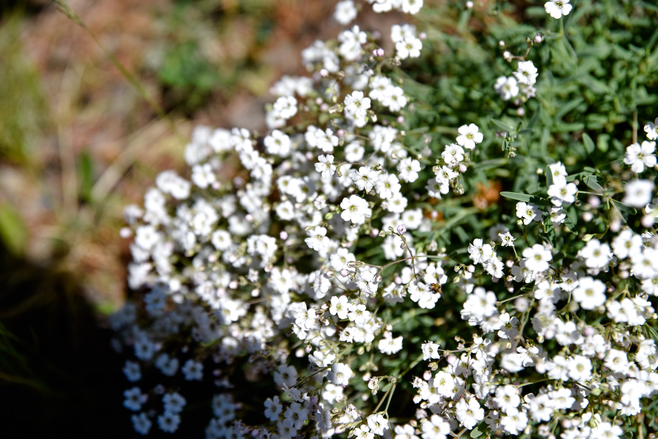 Рекламный тур по Святыням Самарского края 2 день