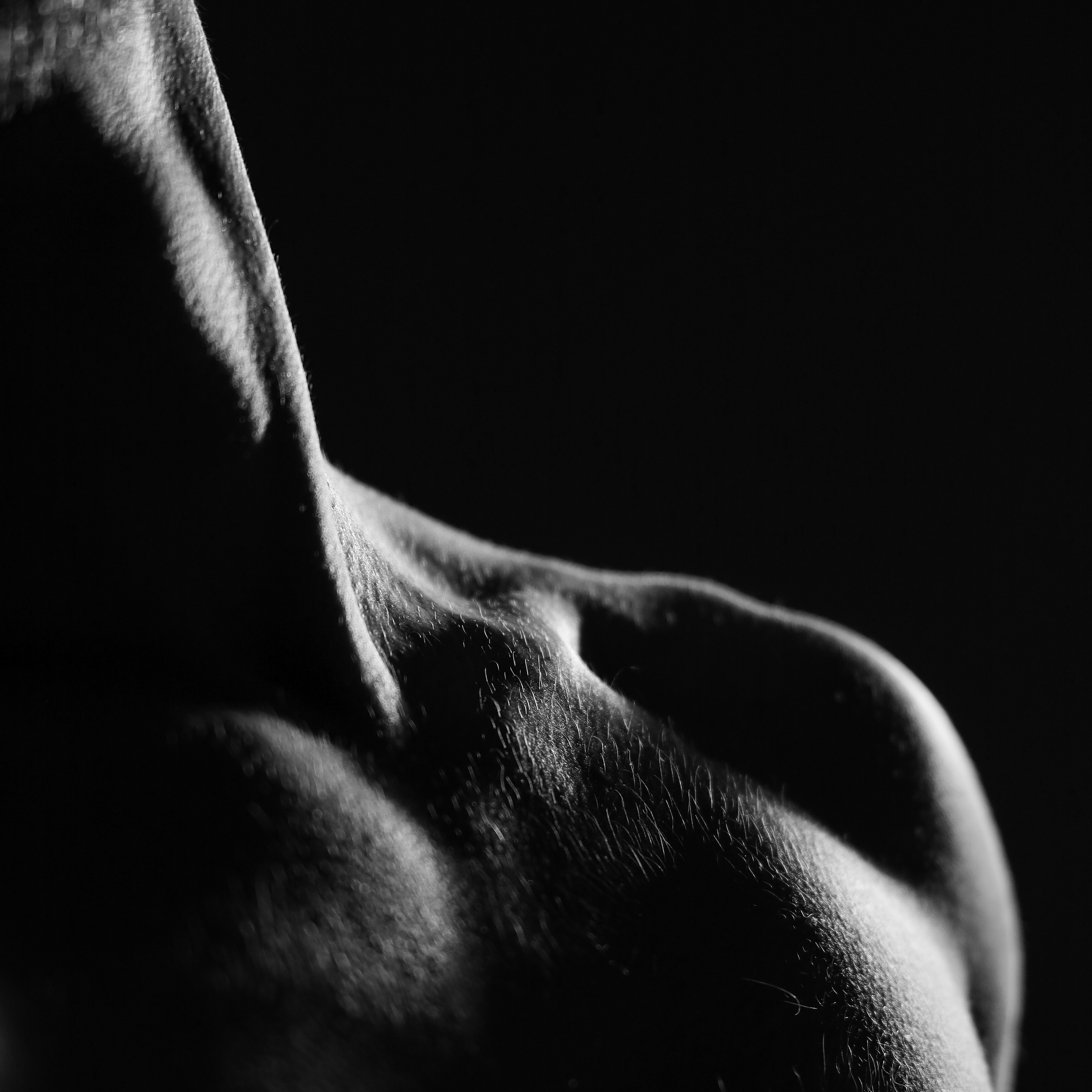 NPICPIV / GOBLIN. Фотограф/дизайнер в Екатеринбурге Хитрый Дмитрий