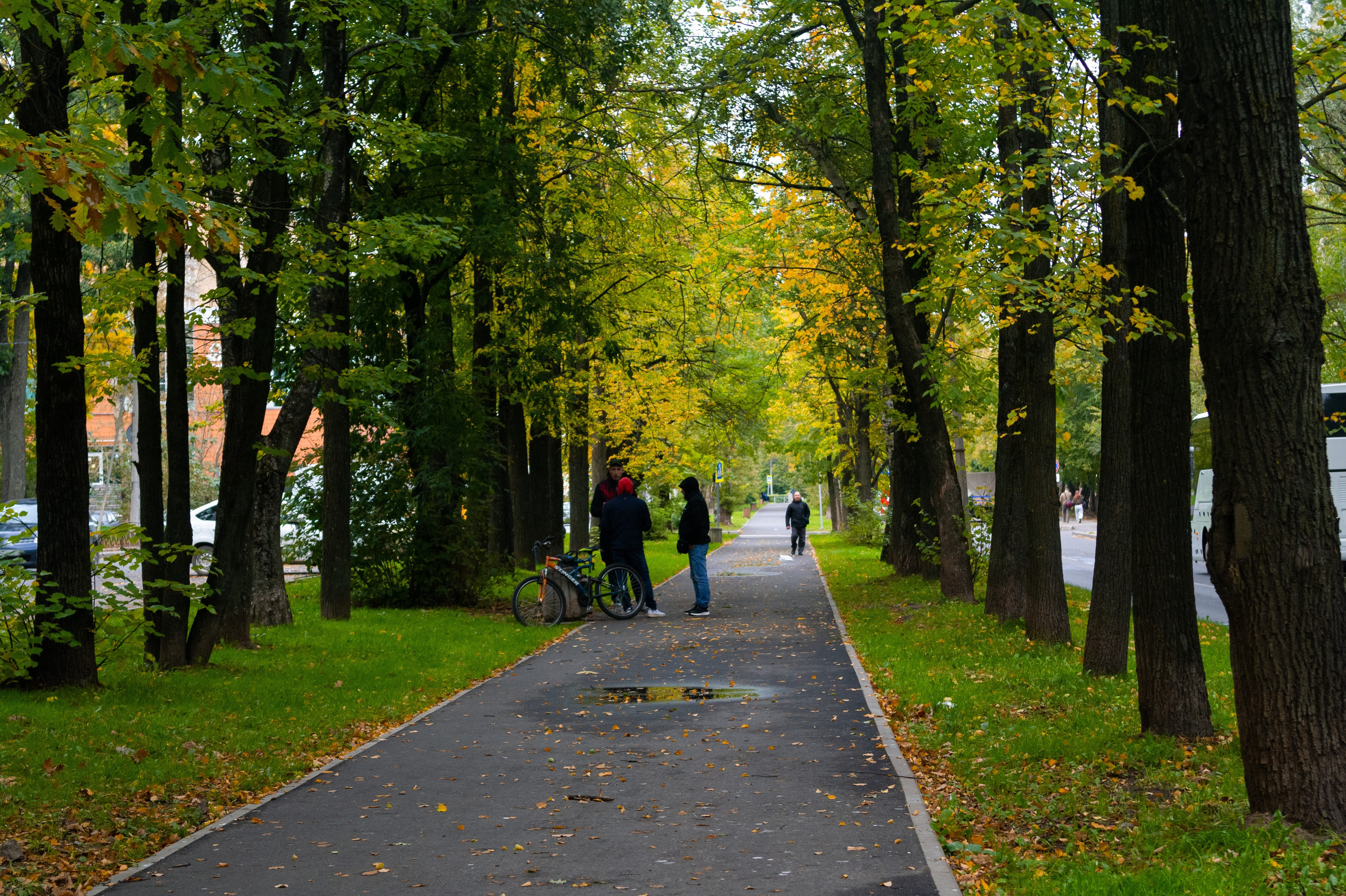 Сентябрь 2025. Den Mirov — Фотограф, Музыкант