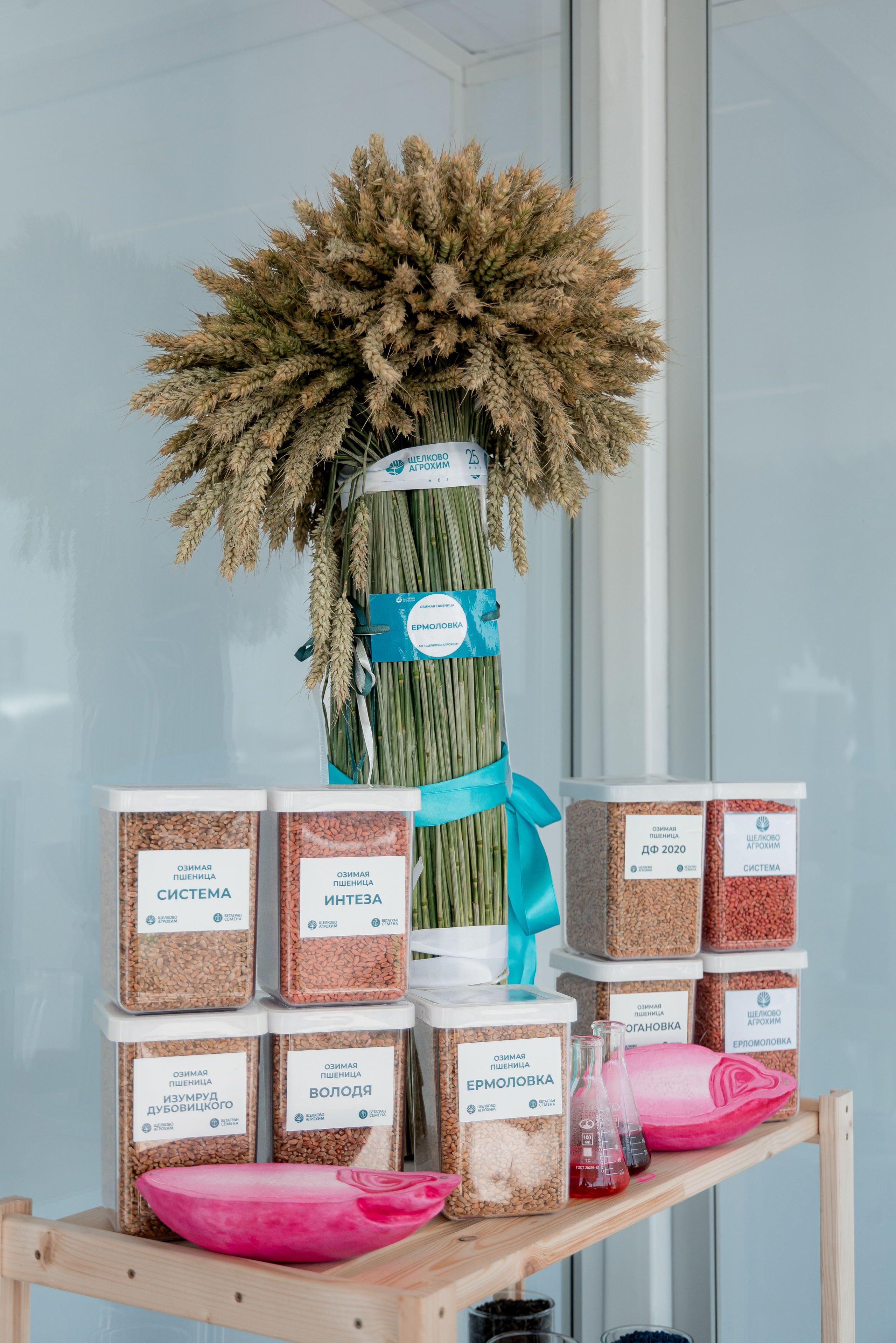 День Поля 2025. Фотограф в Волгограде и Волжском Александр Горбань