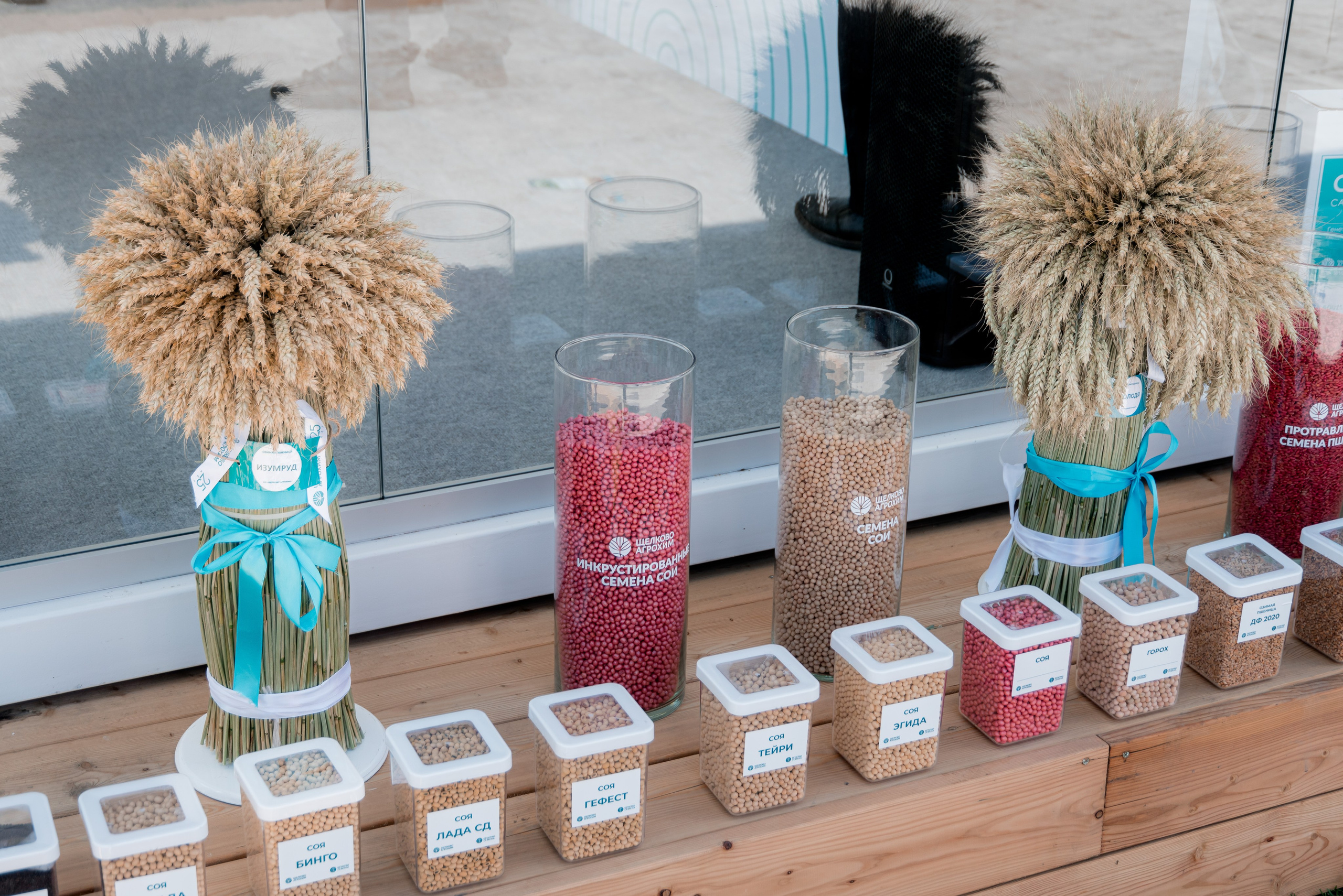 День Поля 2025. Фотограф в Волгограде и Волжском Александр Горбань