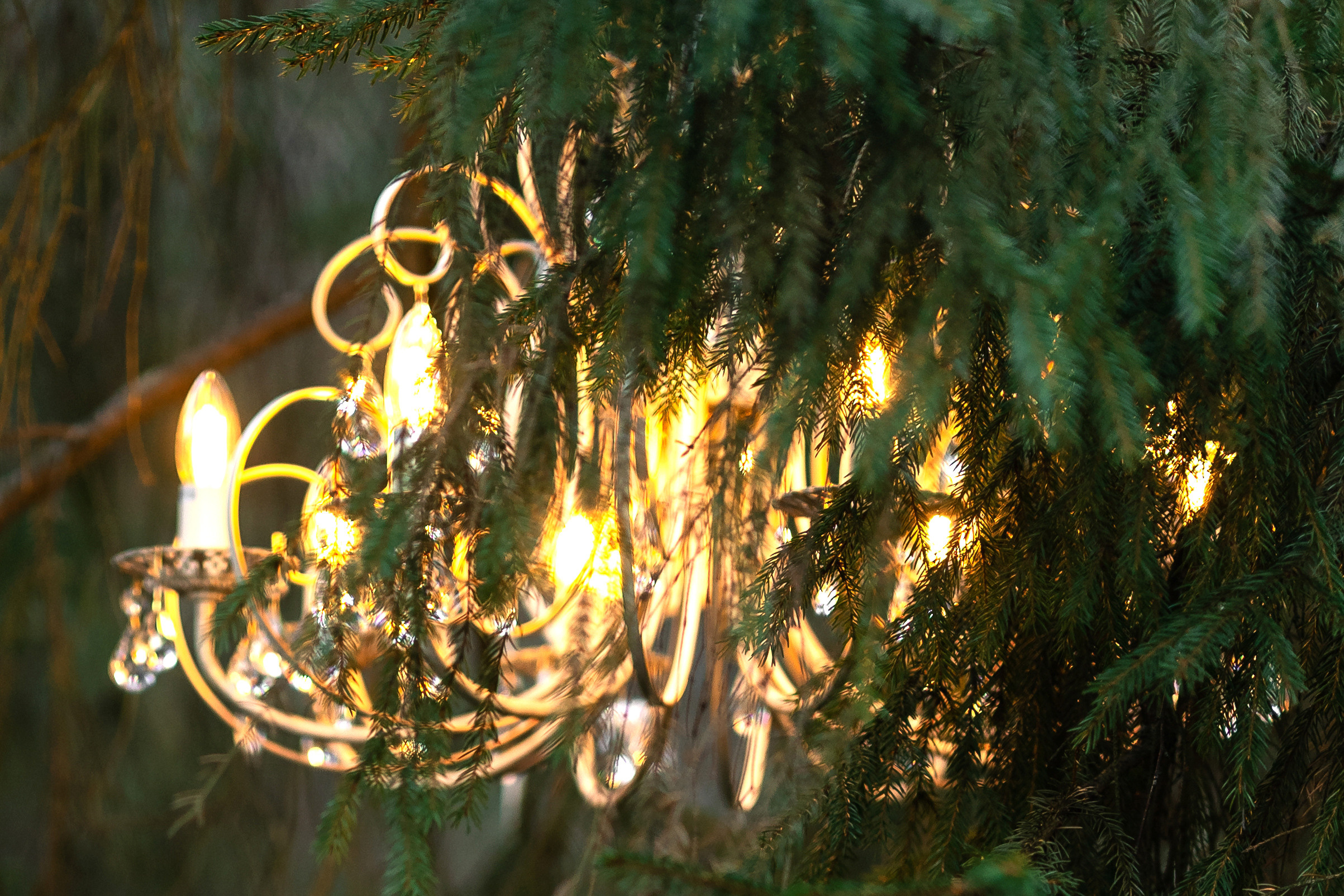 Лена и Миша. Свадебный видеограф в Москве Никонова Анна