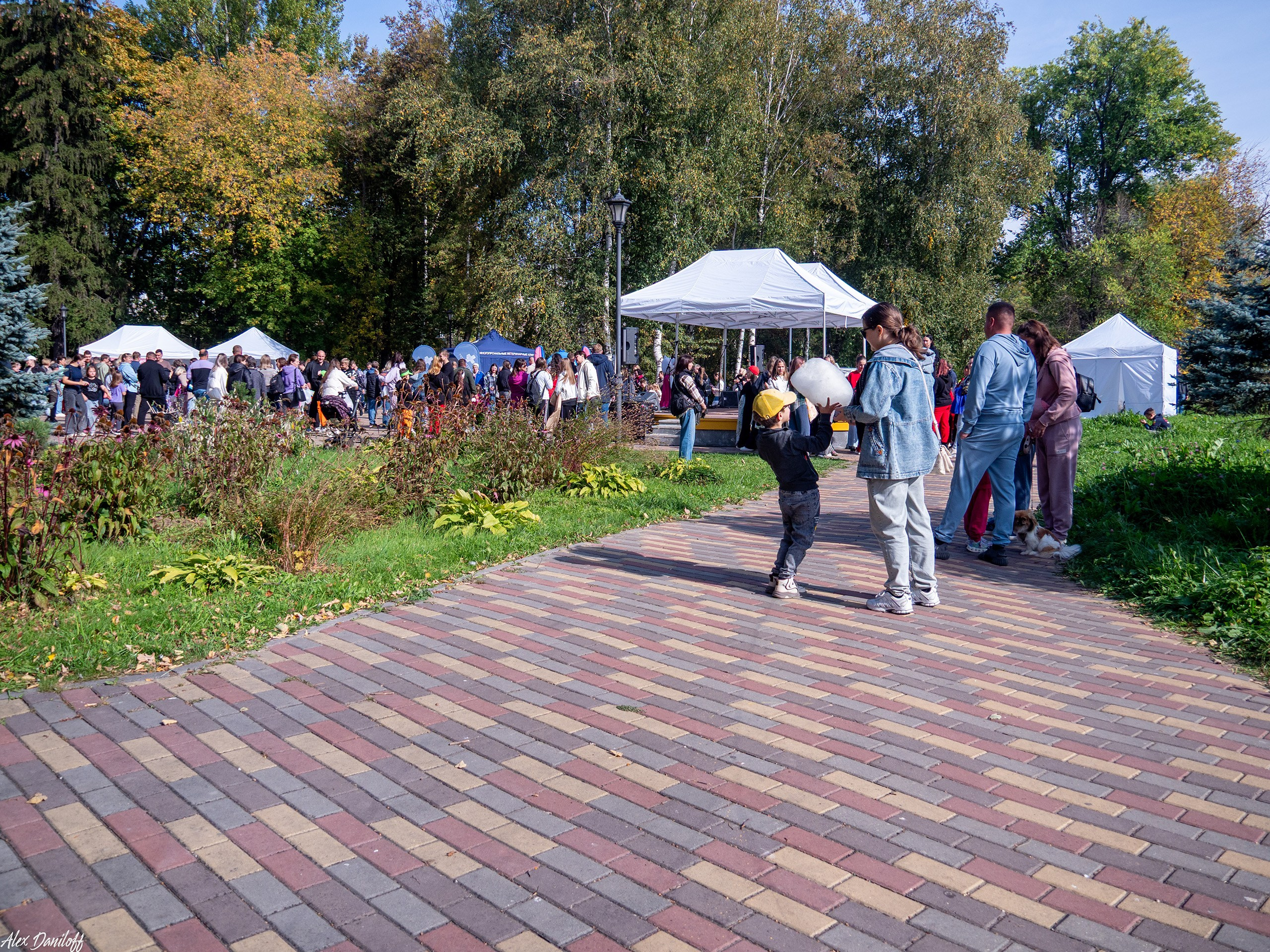 Обнимака 2025. Муром-Инфо. Новости культуры, образования, спорта в городе Муром