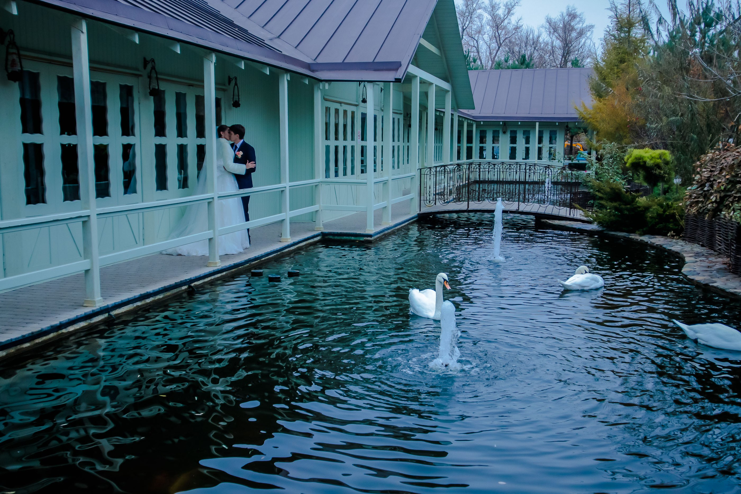 Прогулка/Walk. Максим Матвийченко и Виктория Басова профессионалы своего дела