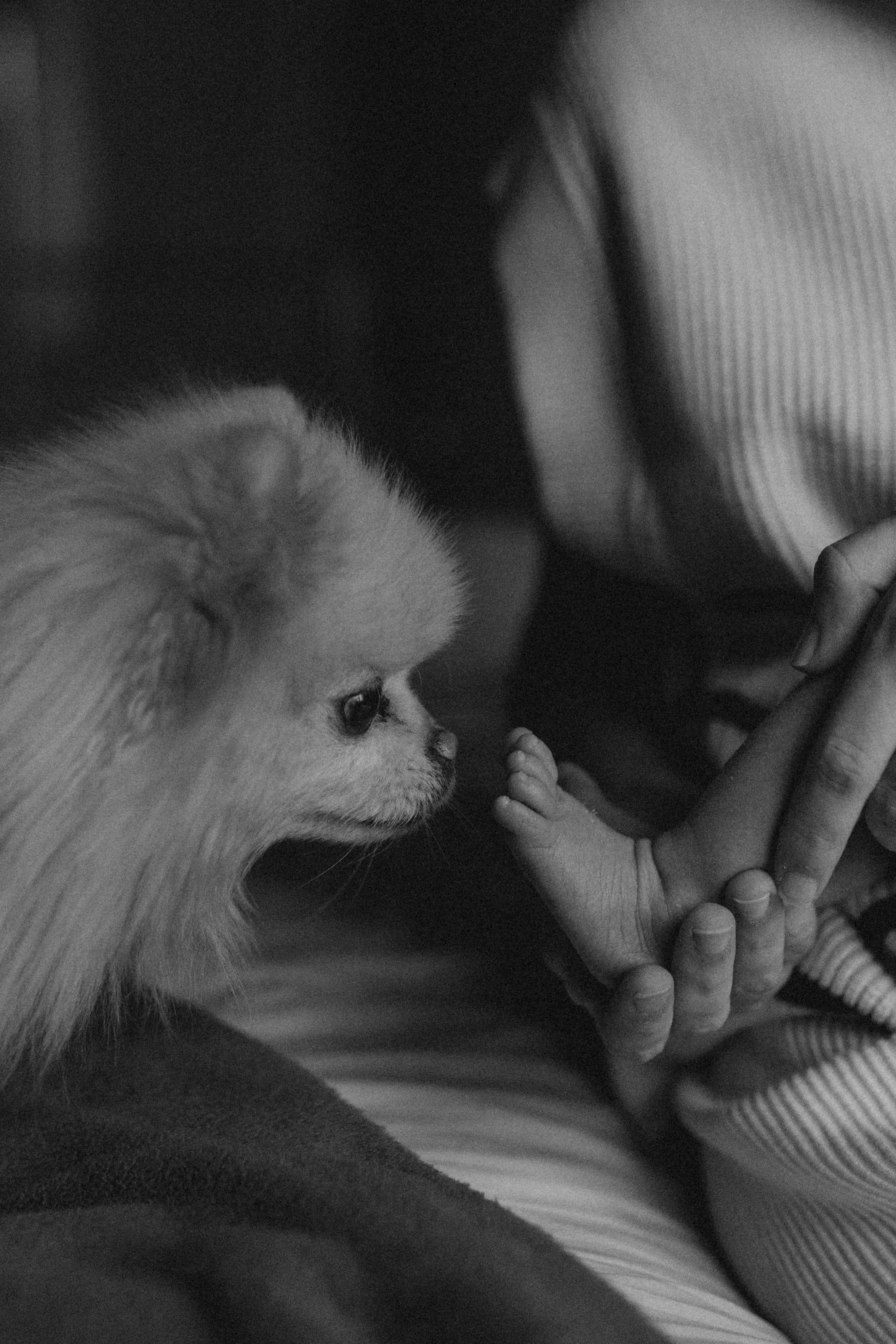 Новорожденные. Главная