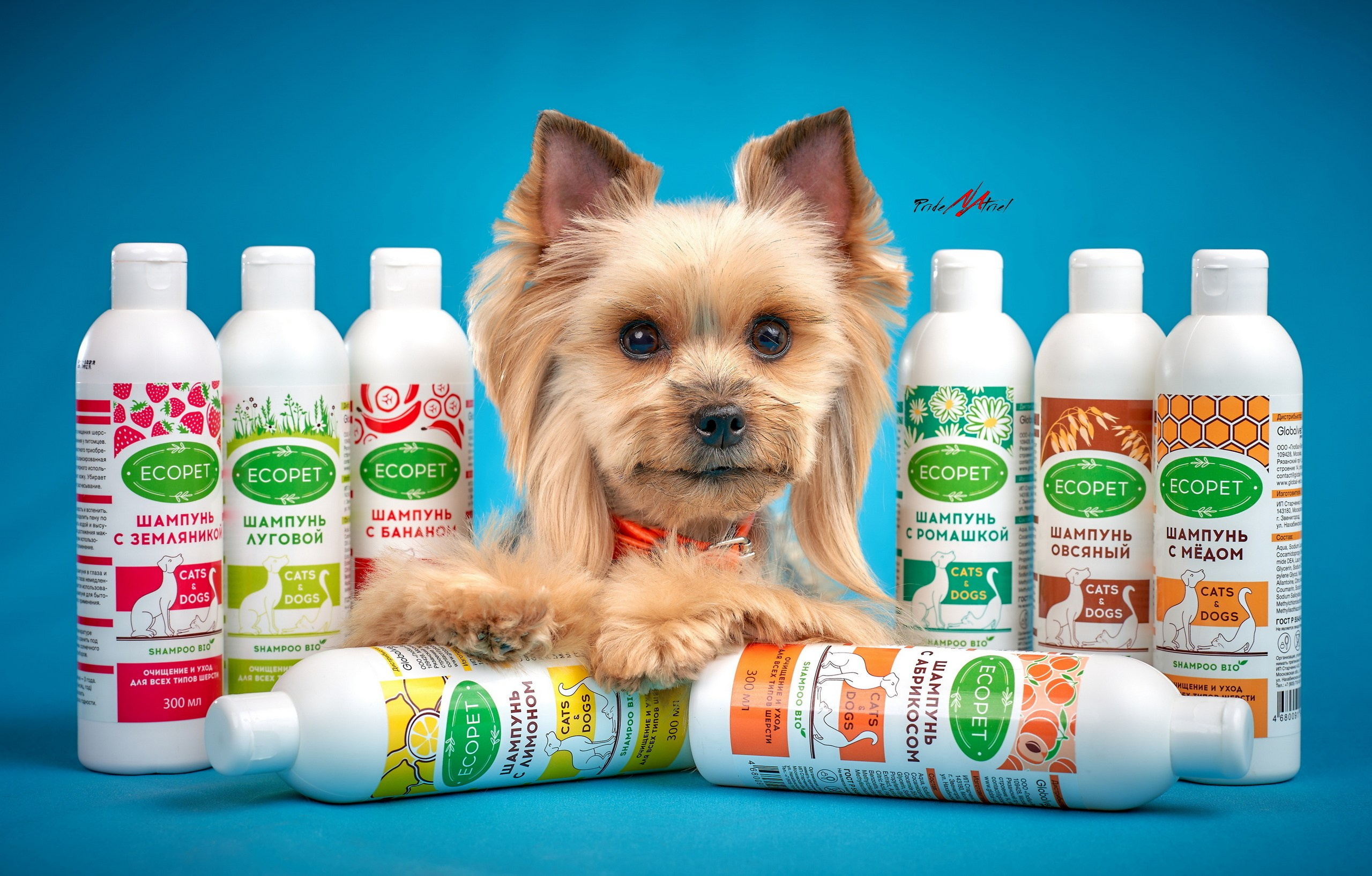 Реклама с животными — галерея NATRIEL