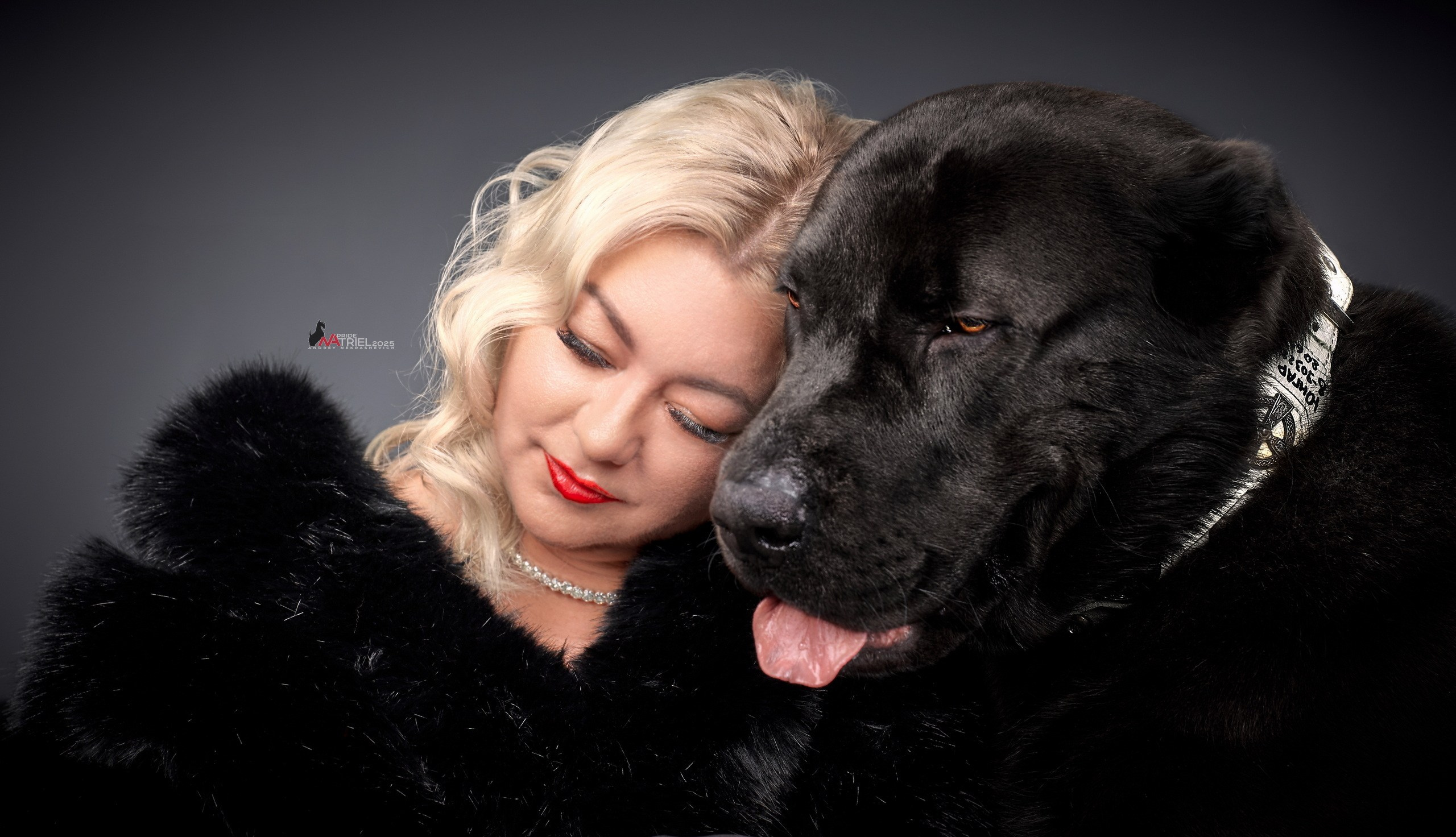 Съемка алабая в студии