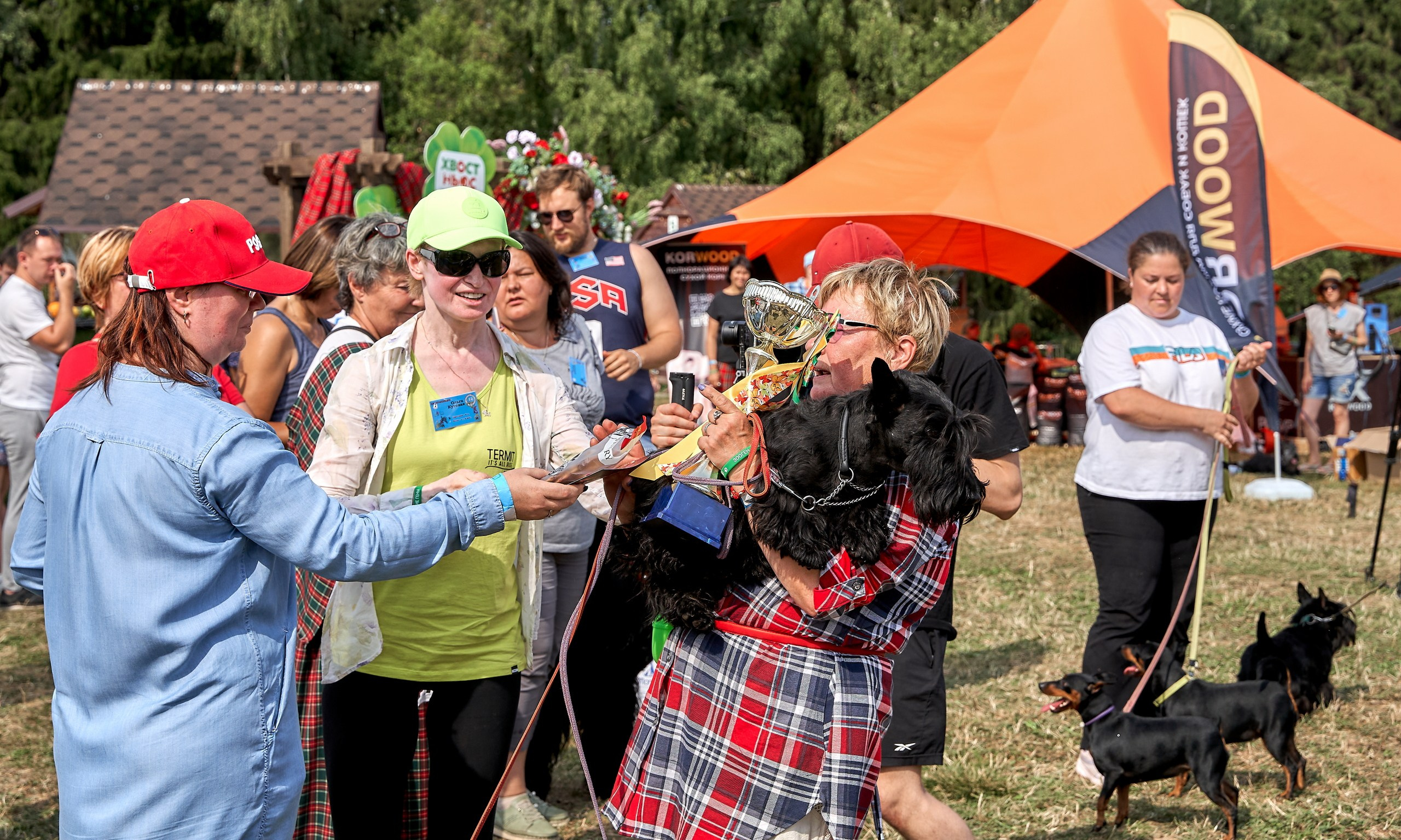 Мероприятия с собаками — галерея NATRIEL