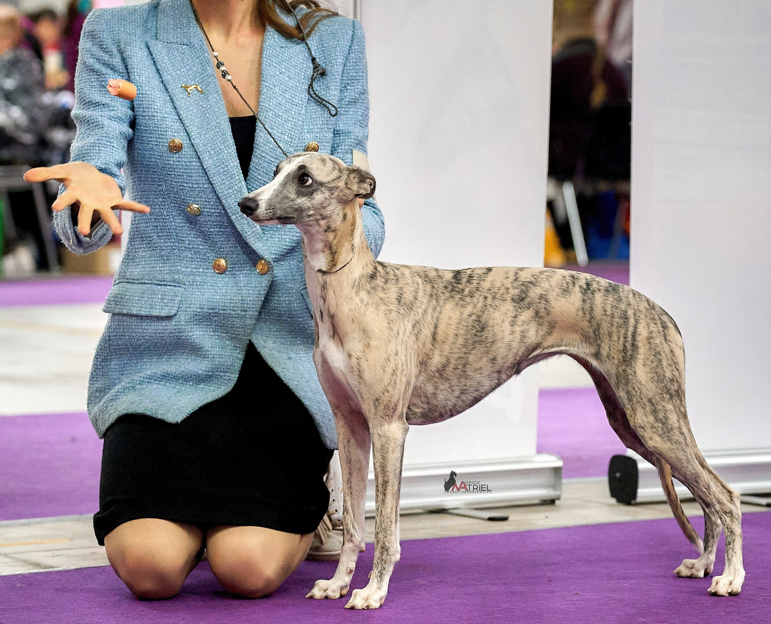 Работа в рингах — галерея NATRIEL