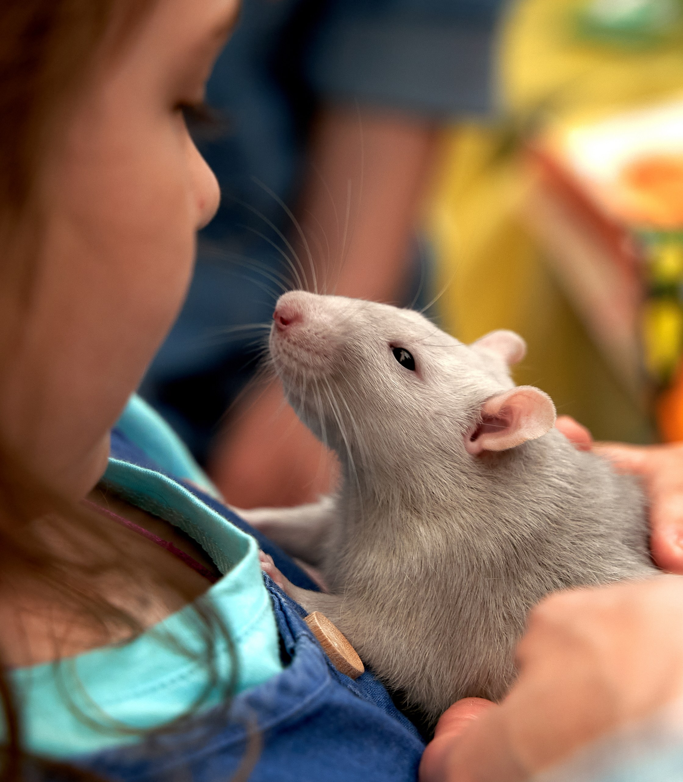 Животные — галерея NATRIEL