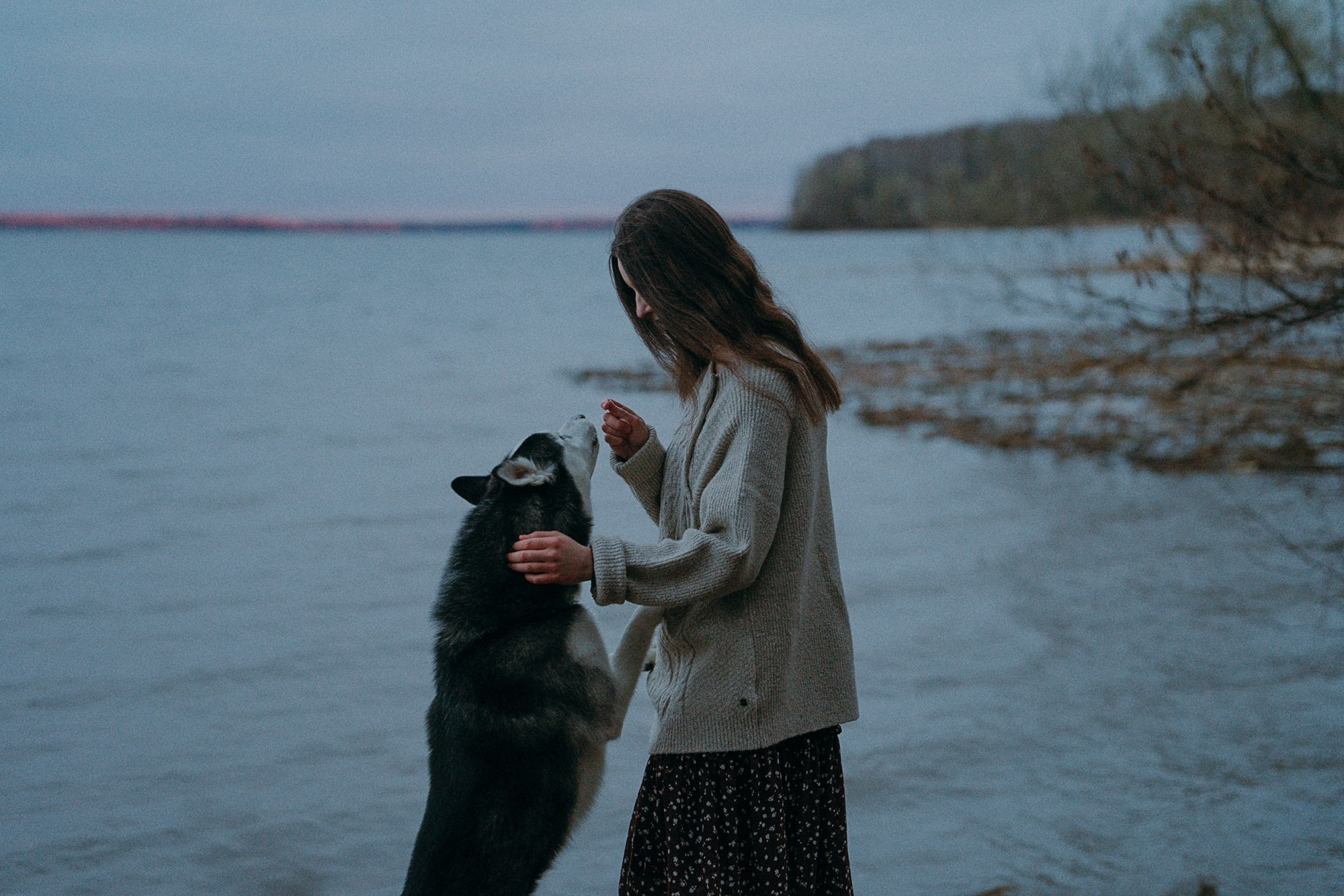 Наташа и Сириус. Фотограф анималист в Москве и Санкт-Петербурге Свиридова Анна