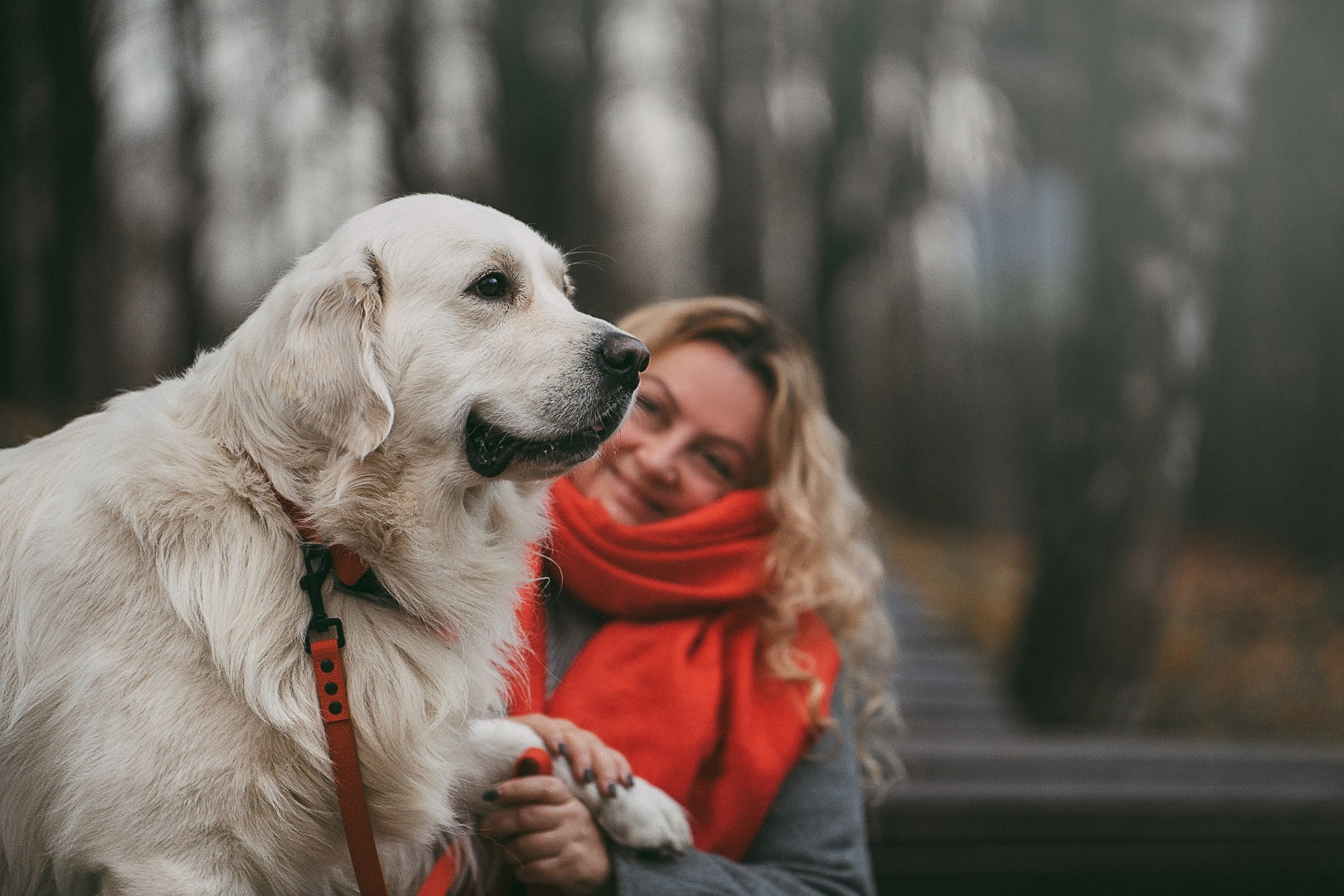 Лена и Мерлин. Фотограф анималист в Москве и Санкт-Петербурге Свиридова Анна
