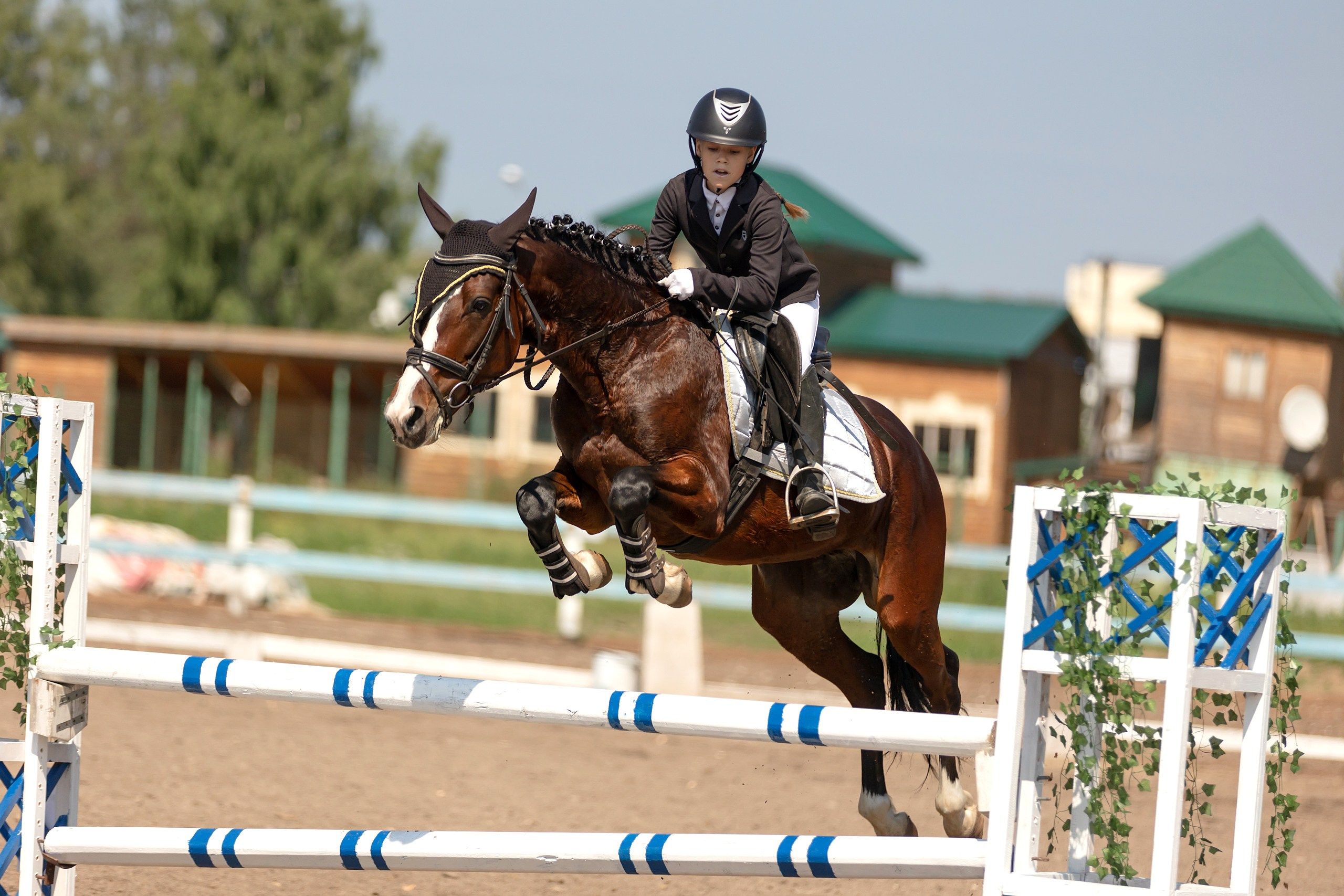Соревнования по конному спорту. Конный фотограф Валынкина Лера