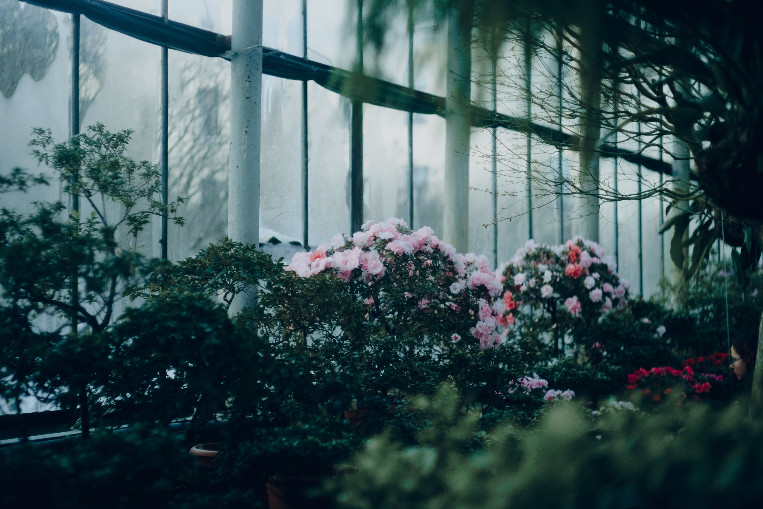 Botanical. Портретный и свадебный фотограф в Москве и Санкт-Петербурге. Учитель фотографии онлайн и оффлайн