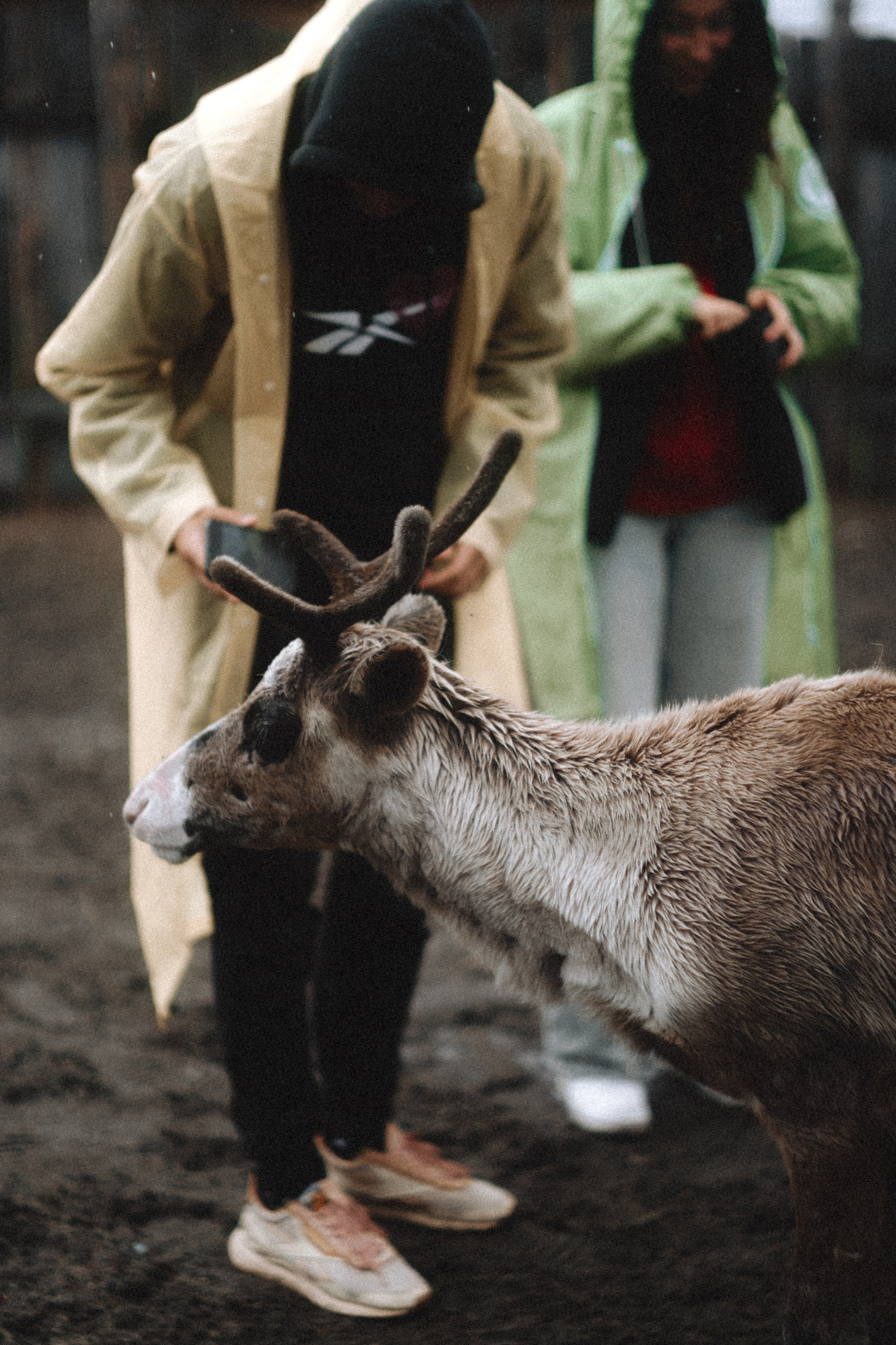 Териберка, Мурманск. Фотосъёмка для компании по организации туров в коллаборации с Яндекс 360