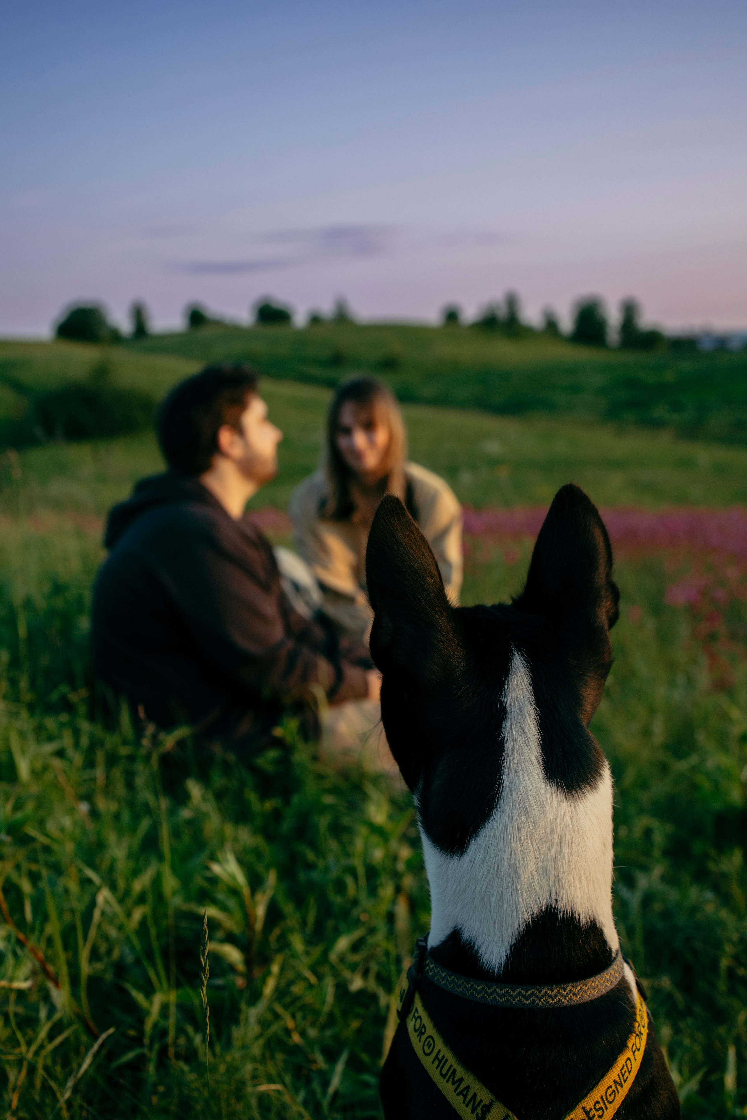 Итачи и его семья 🐾. Фотограф-анималист в Санкт-Петеребурге Титова Алиса