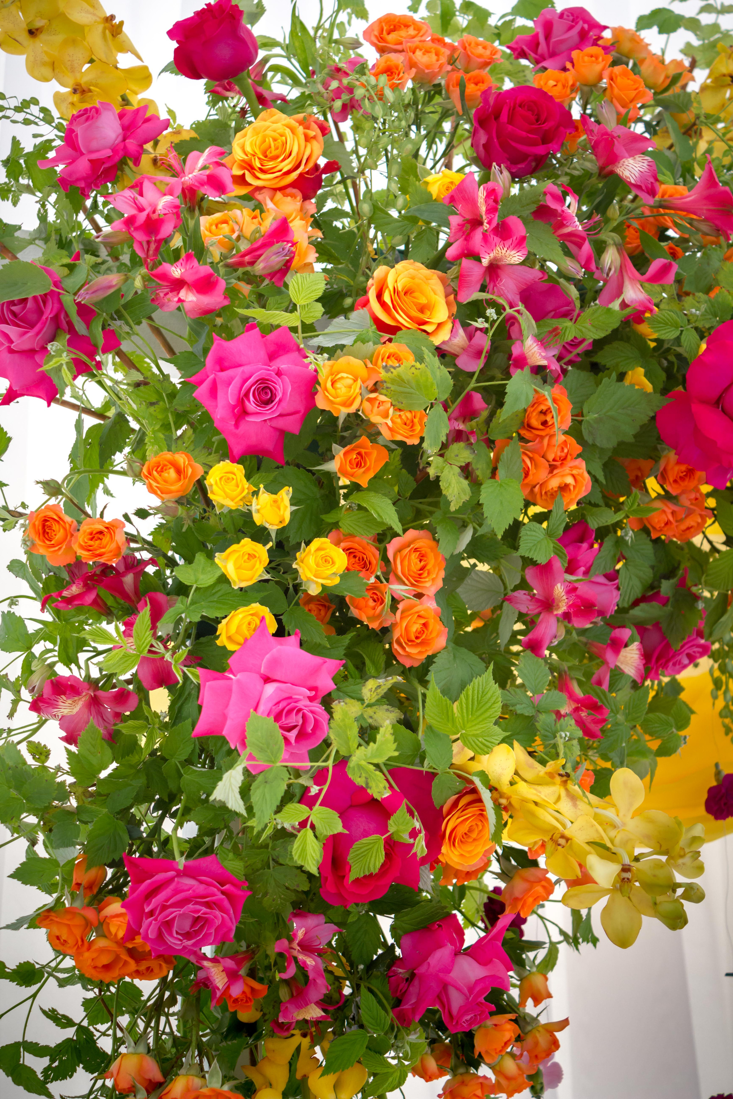 Ресторан у воды «Cote d'Azur Moscow». Флорист Маргарита Гладкова