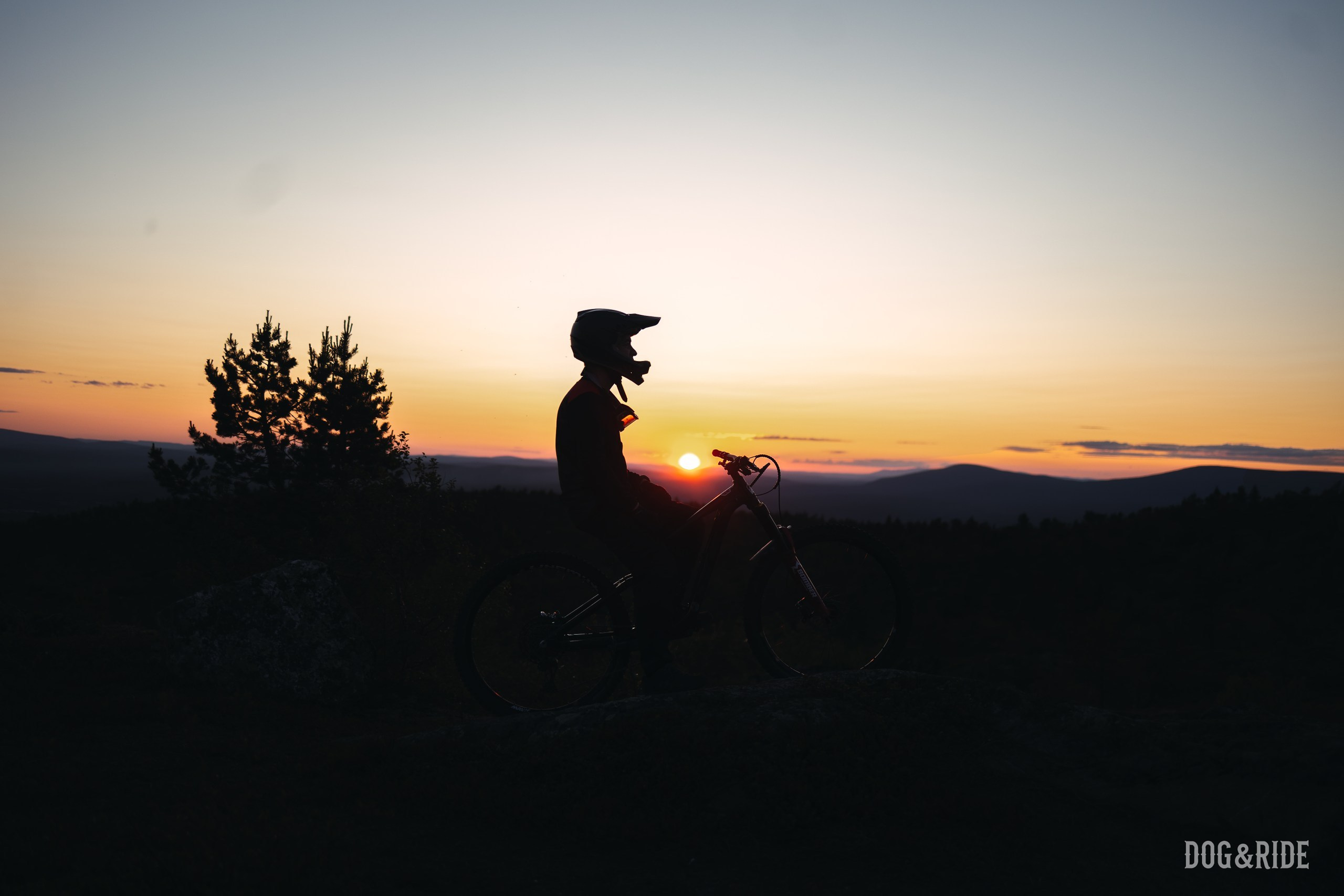 Кандалакшка. Фотограф анималист Никита Натальный