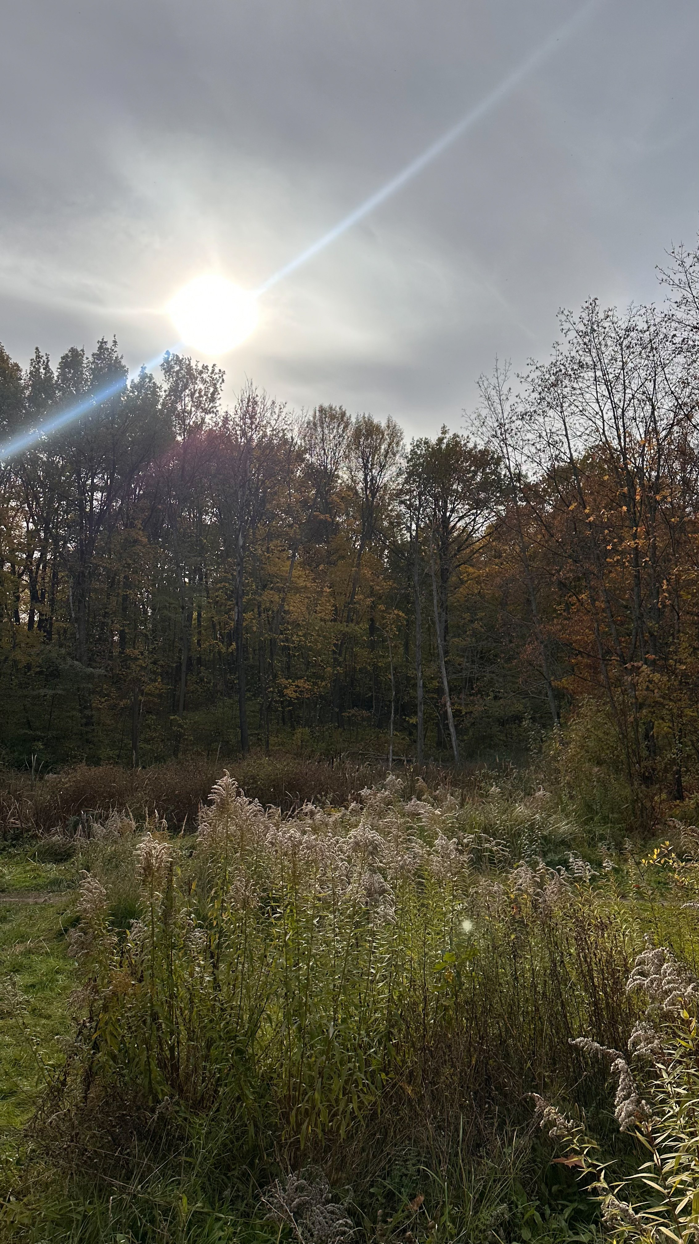 Максим и Юля. Фотограф Нижний Новгород