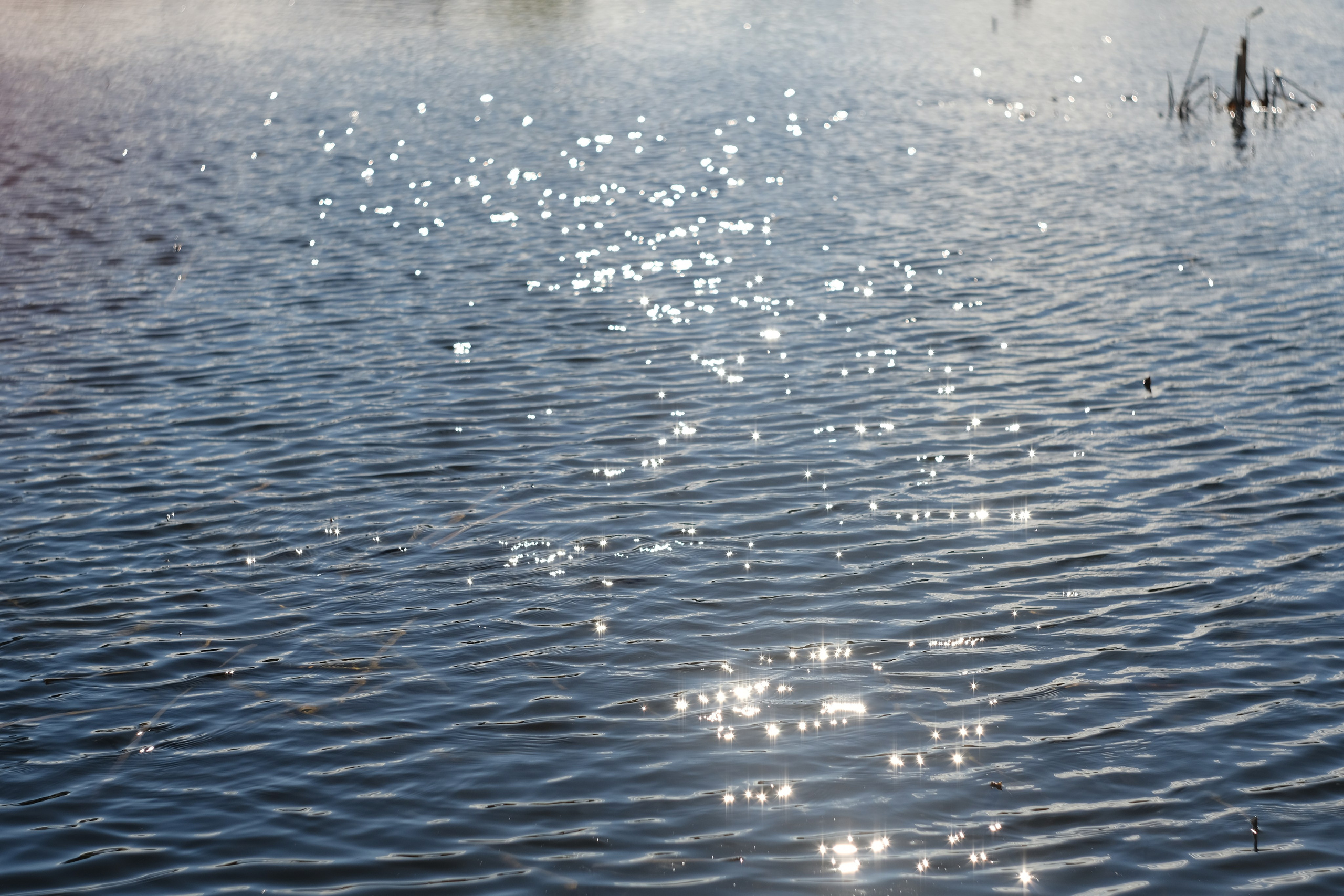 Художественные фото. Креативный фотограф в Москве Арапова Виталия