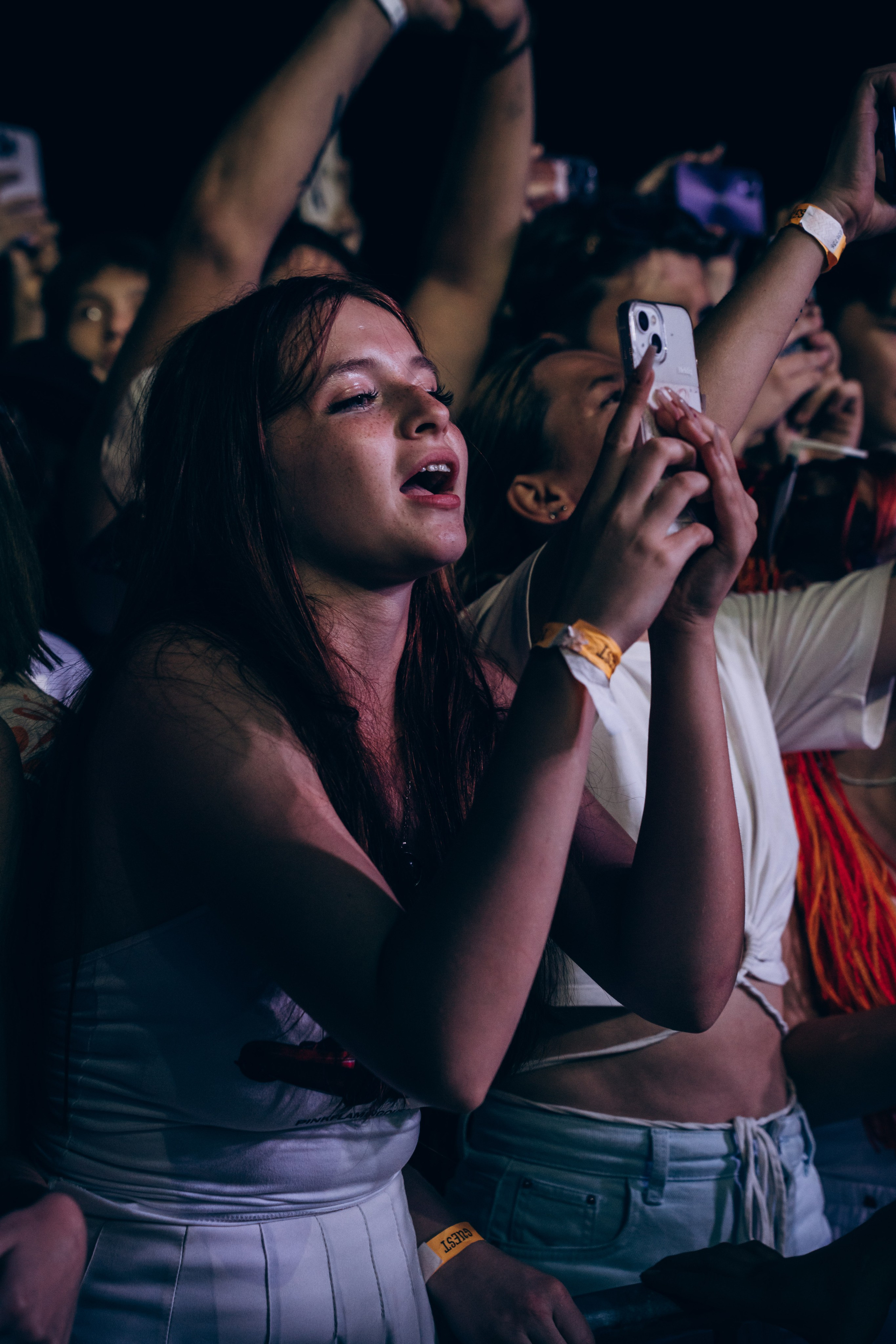 Picnic by partners. Главная