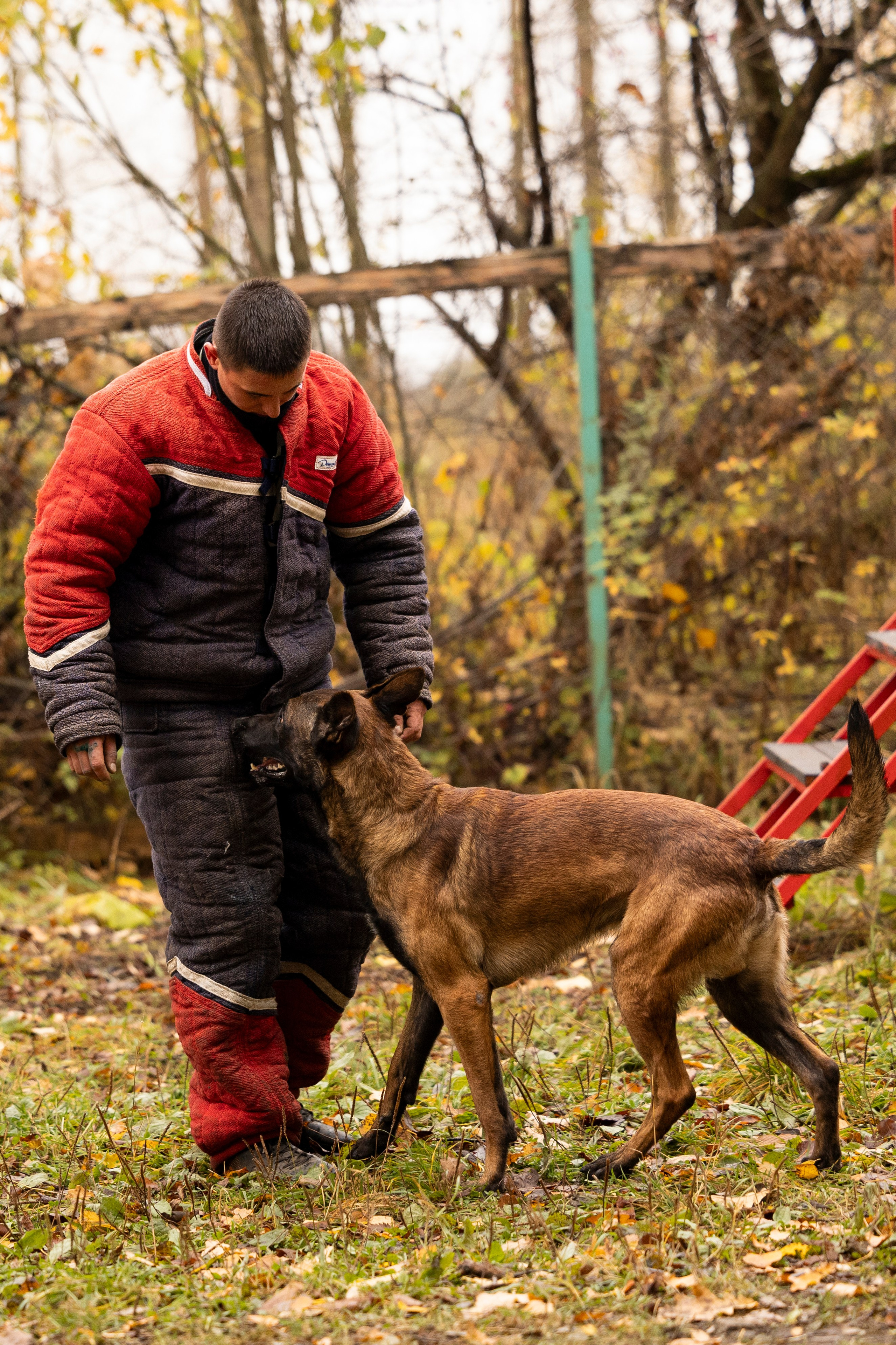 Соревнования по Мондьорингу г. Вологда. Фотограф-анималист Анна Маринич